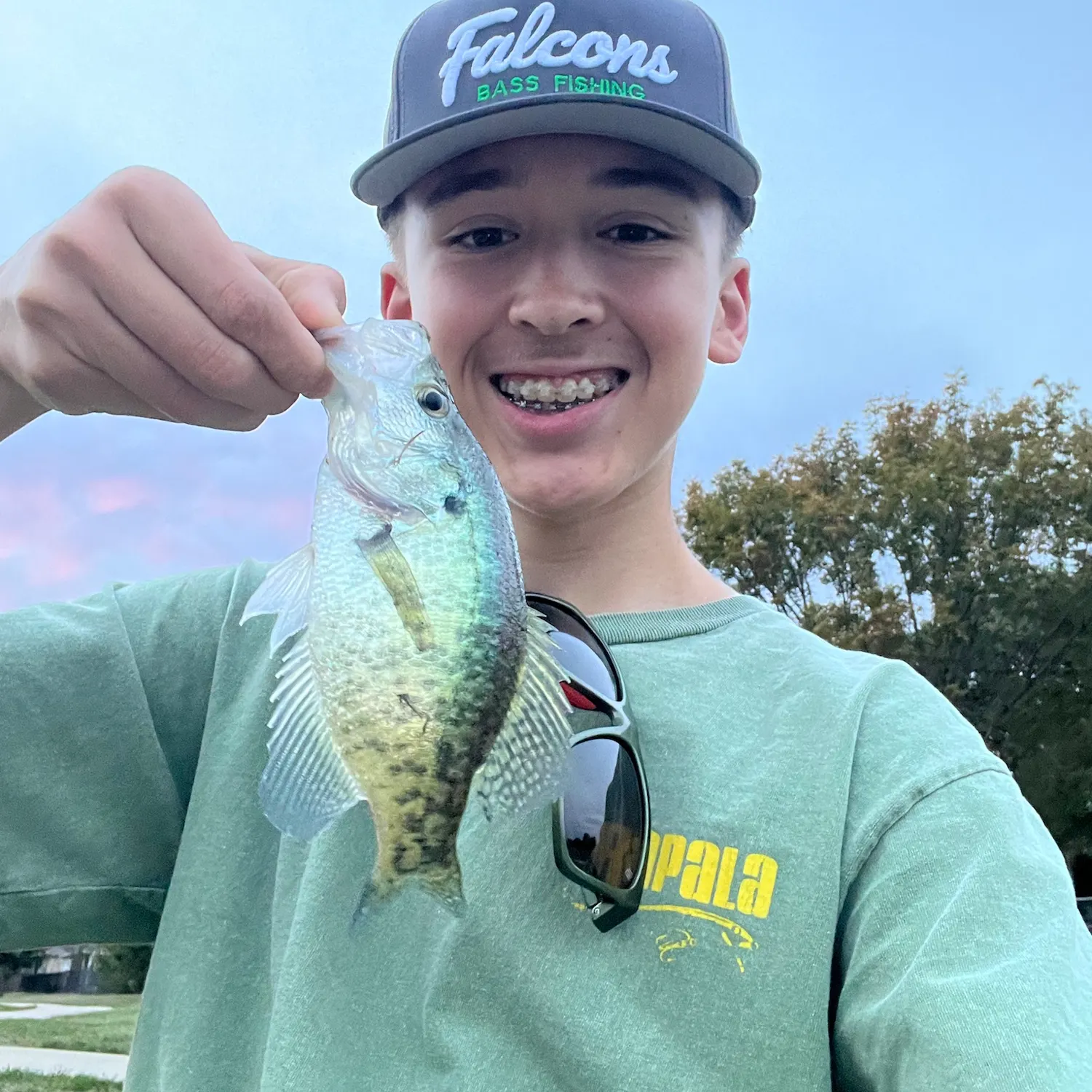 The most recent White crappie catches on Fishbrain