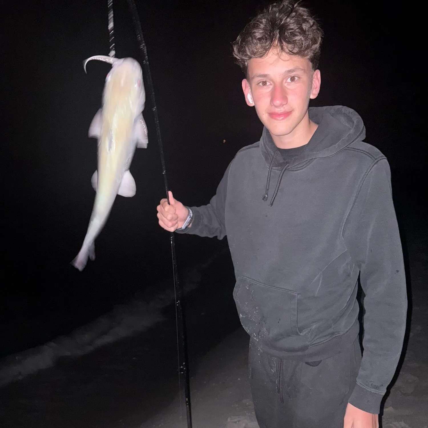 The most recent Hardhead sea catfish catches on Fishbrain