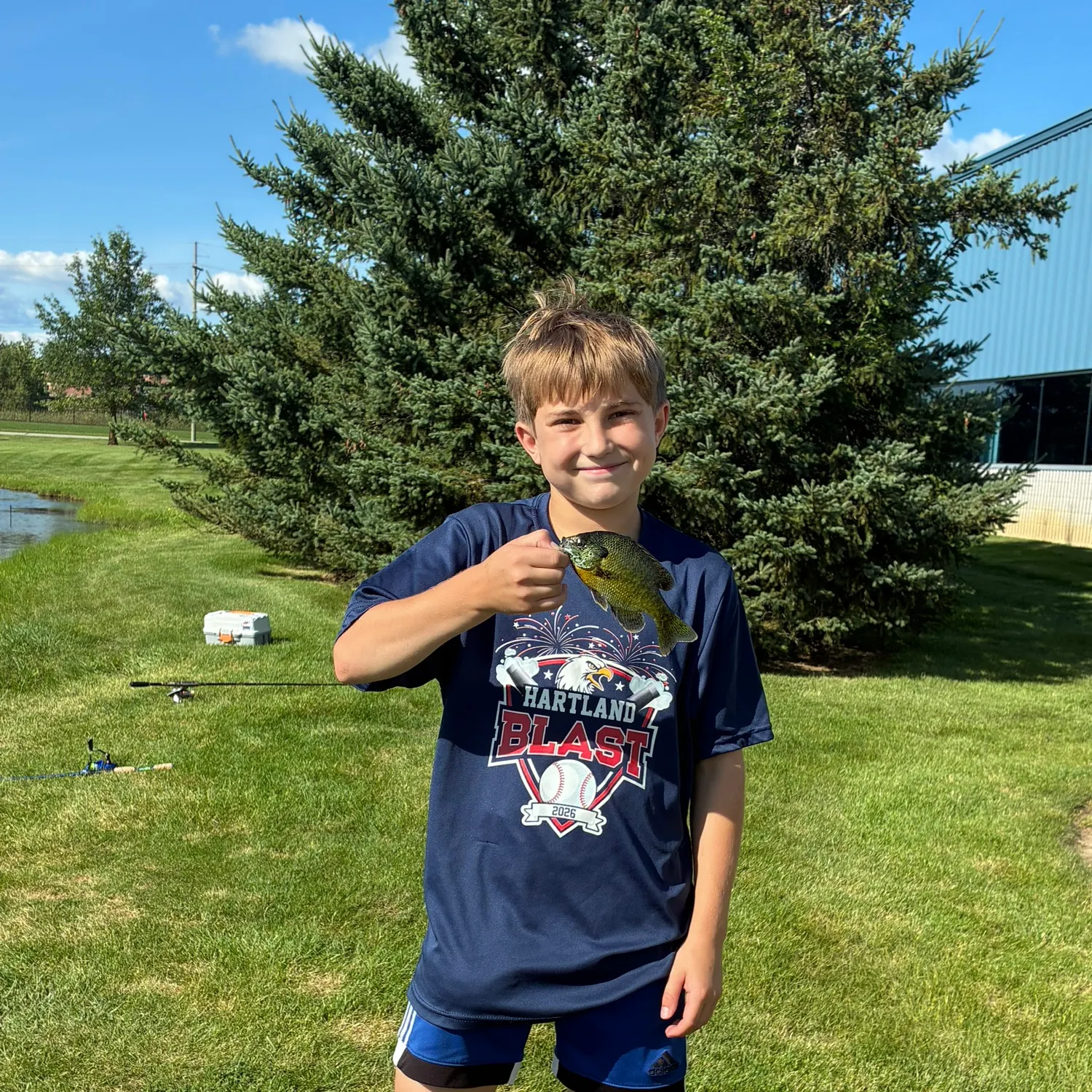 Bluegill caught on Fishbrain