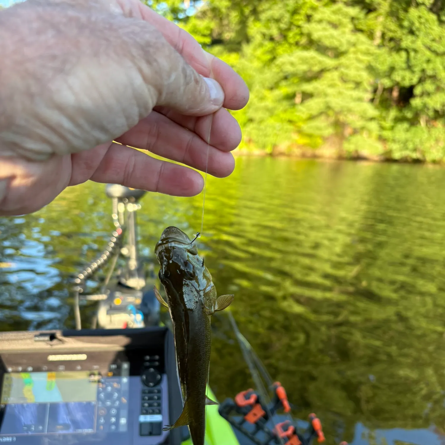 Fish caught on Fishbrain