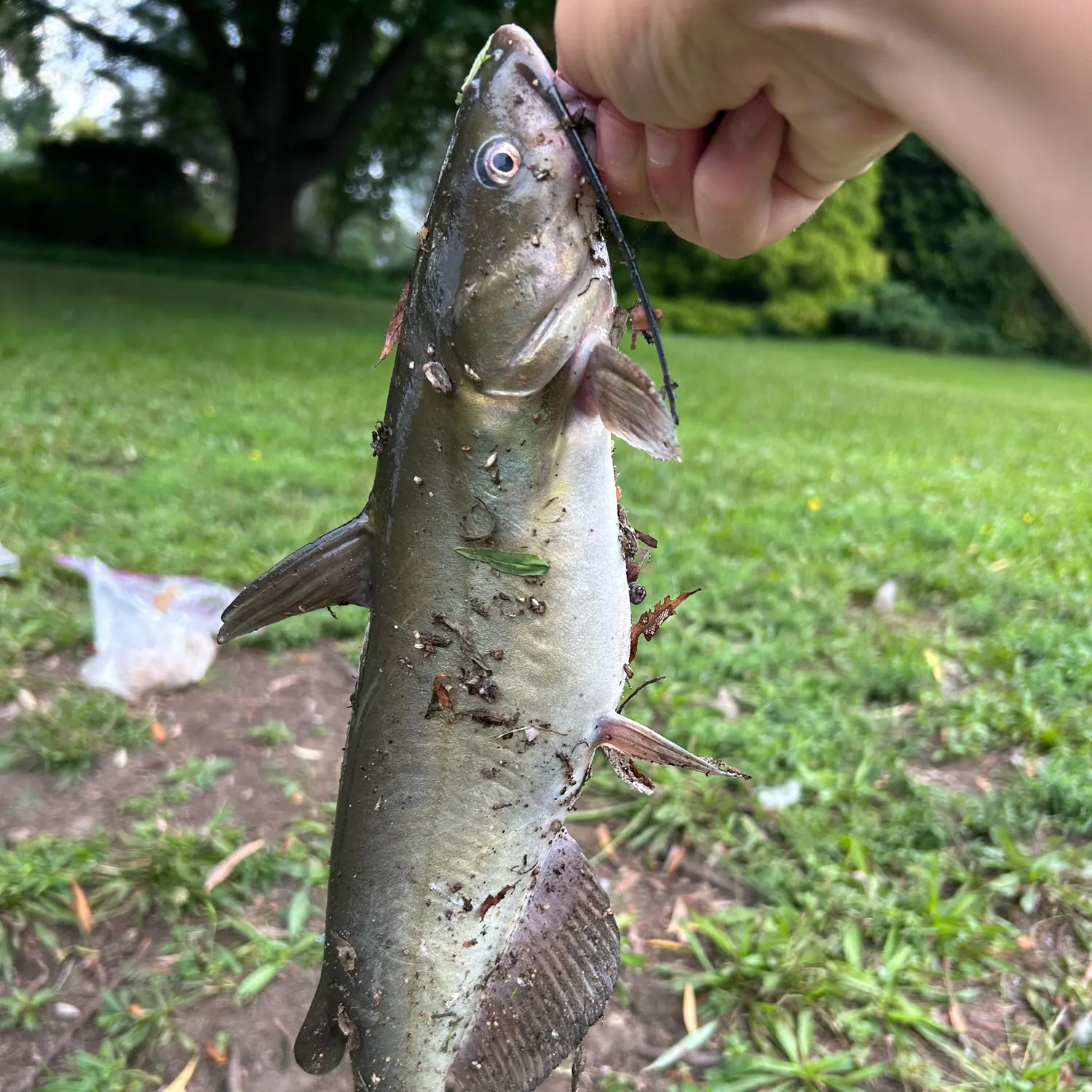 catch