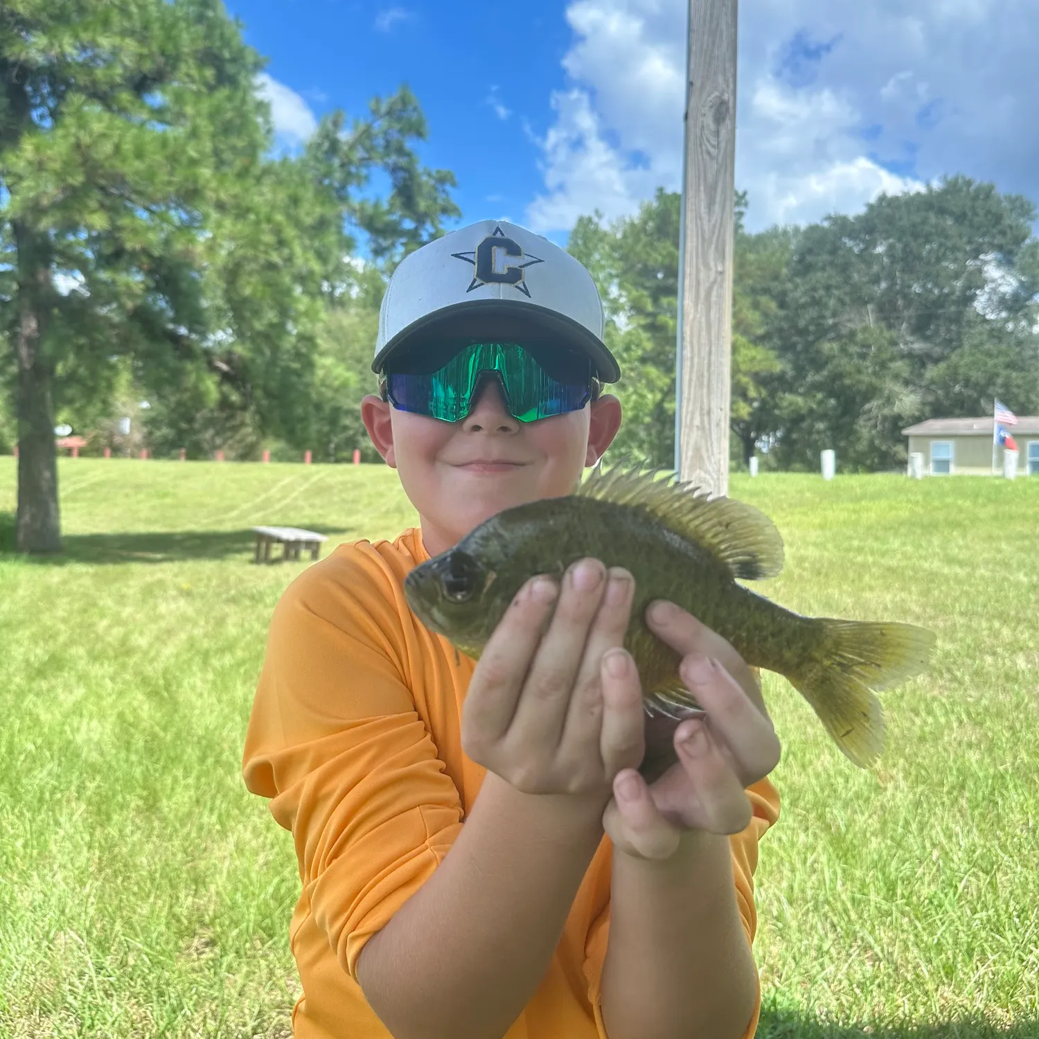 Spotted sunfish caught on Fishbrain