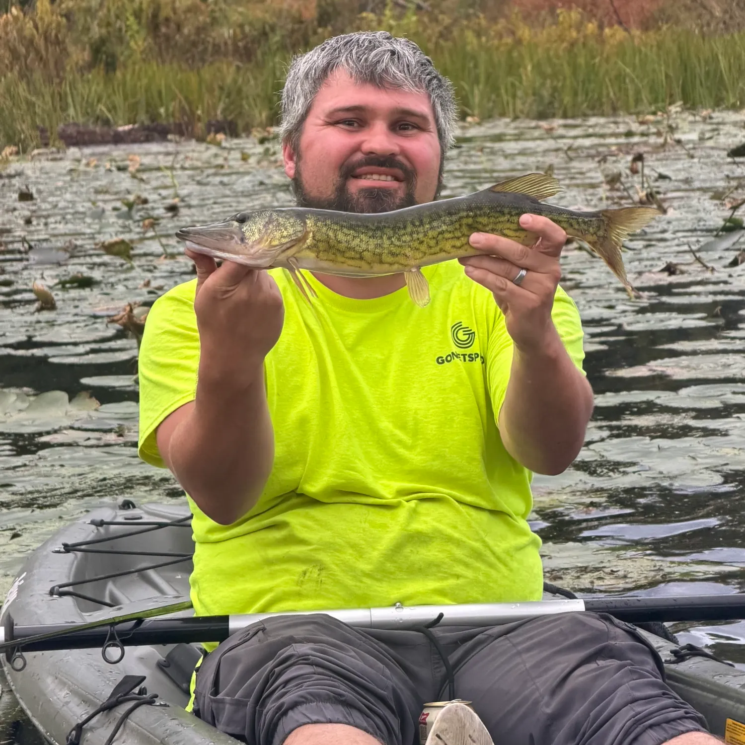 Chain pickerel caught on Fishbrain