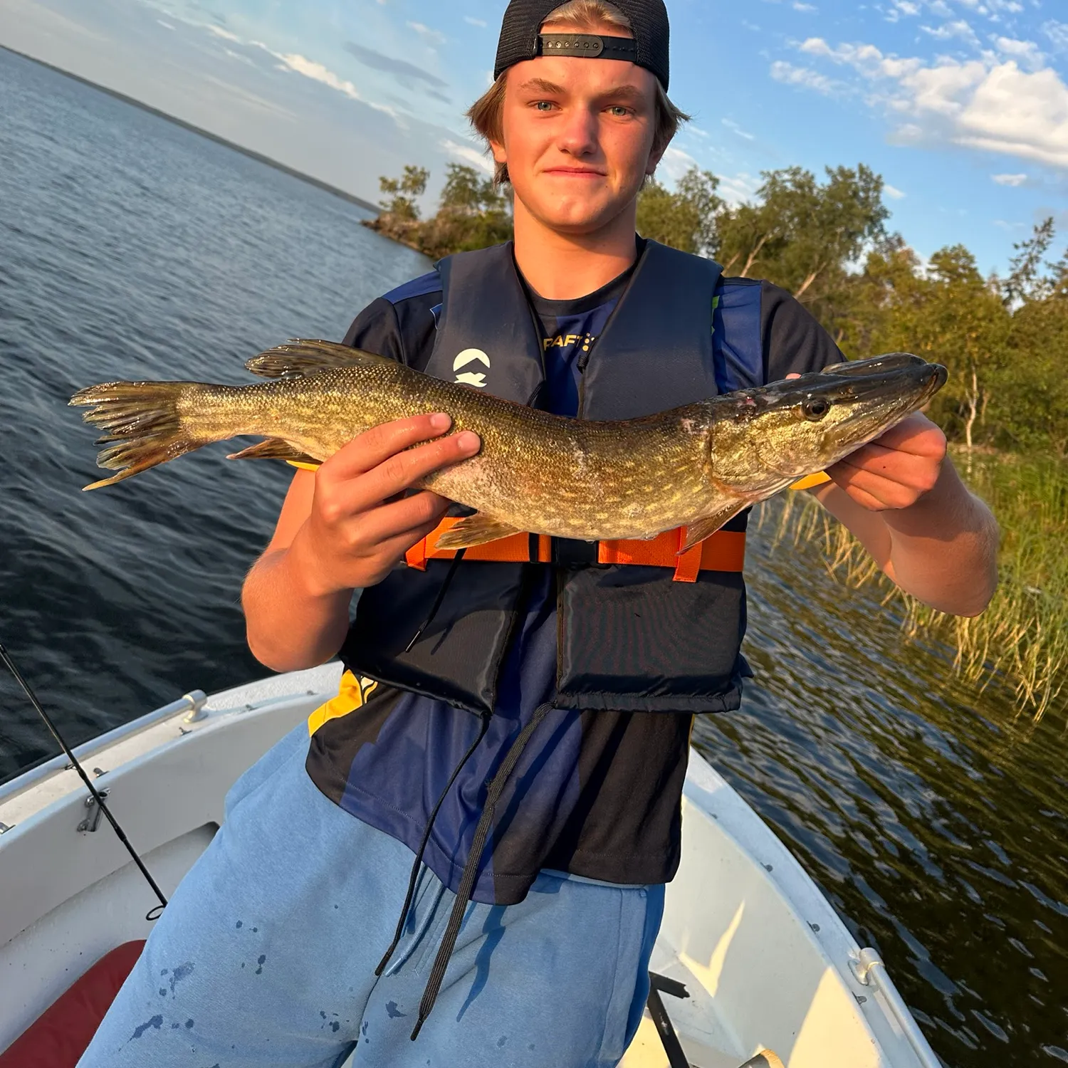 Northern pike caught on Fishbrain