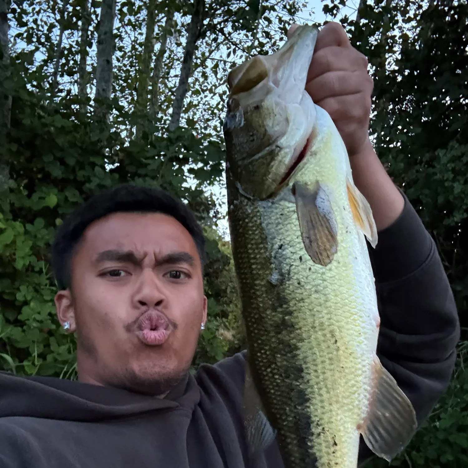Largemouth bass caught on Fishbrain