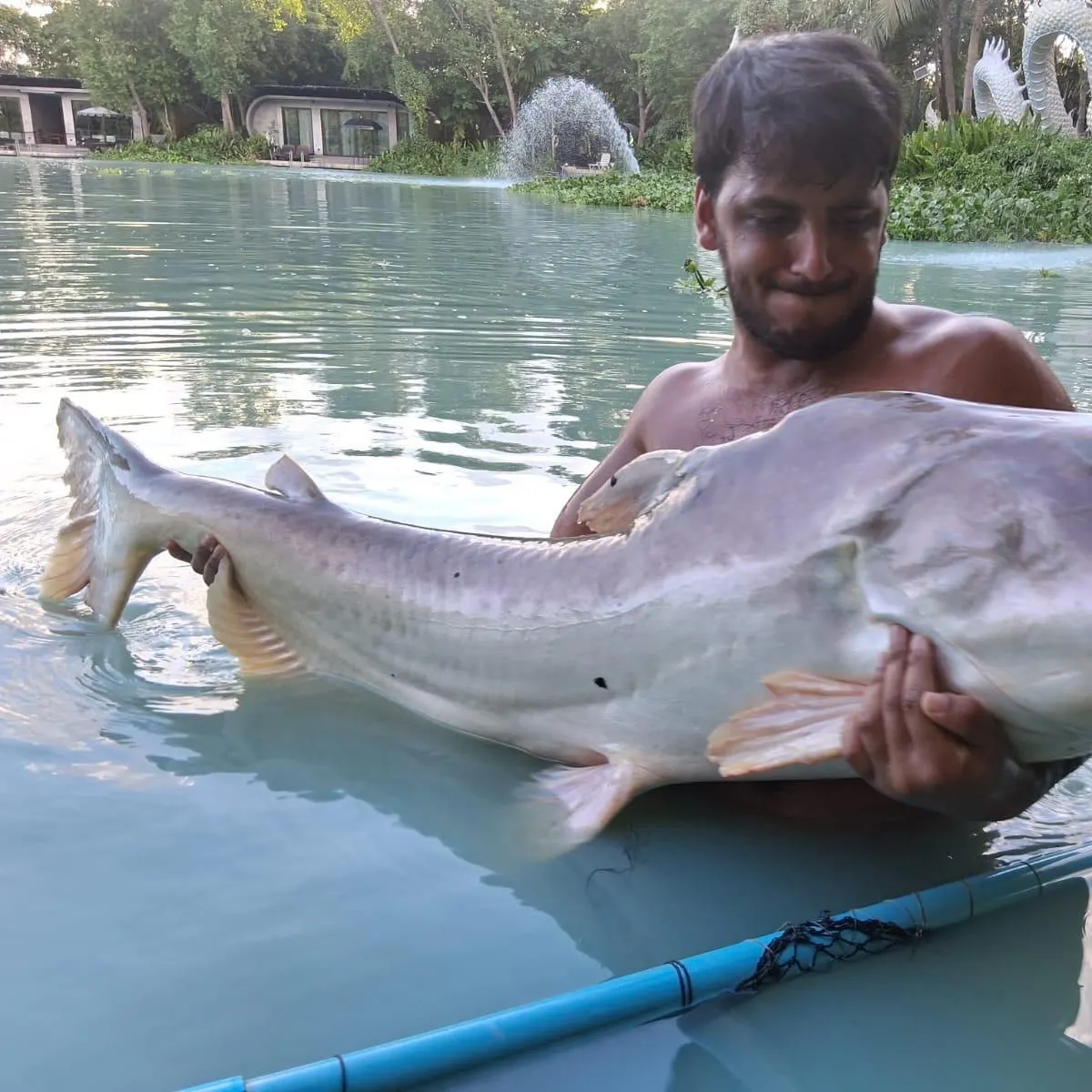 The most recent Mekong giant catfish catches on Fishbrain