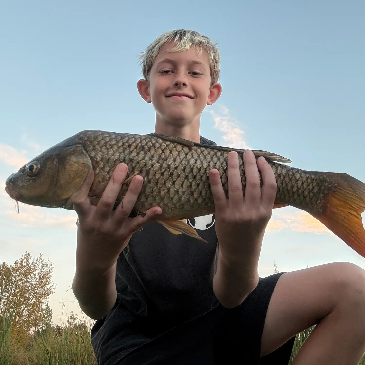 Common carp caught on Fishbrain