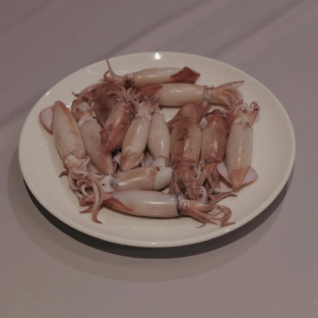 The most recent Longfin inshore squid catches on Fishbrain