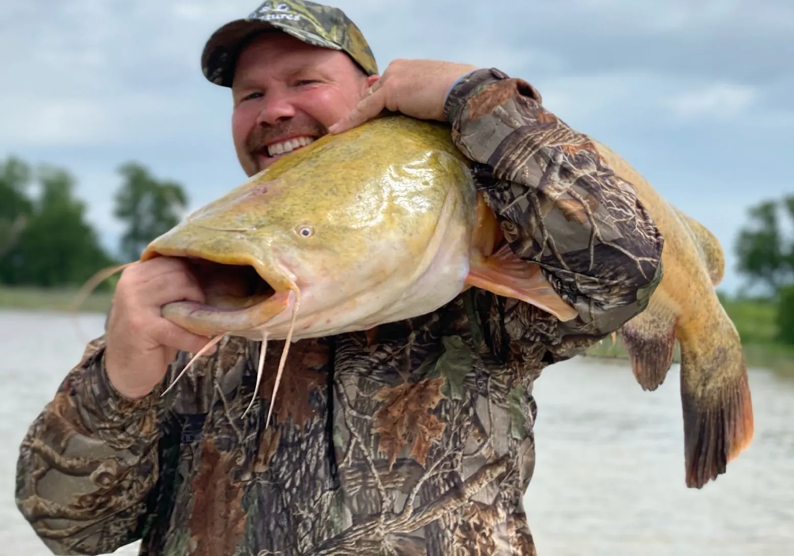 Flathead catfish