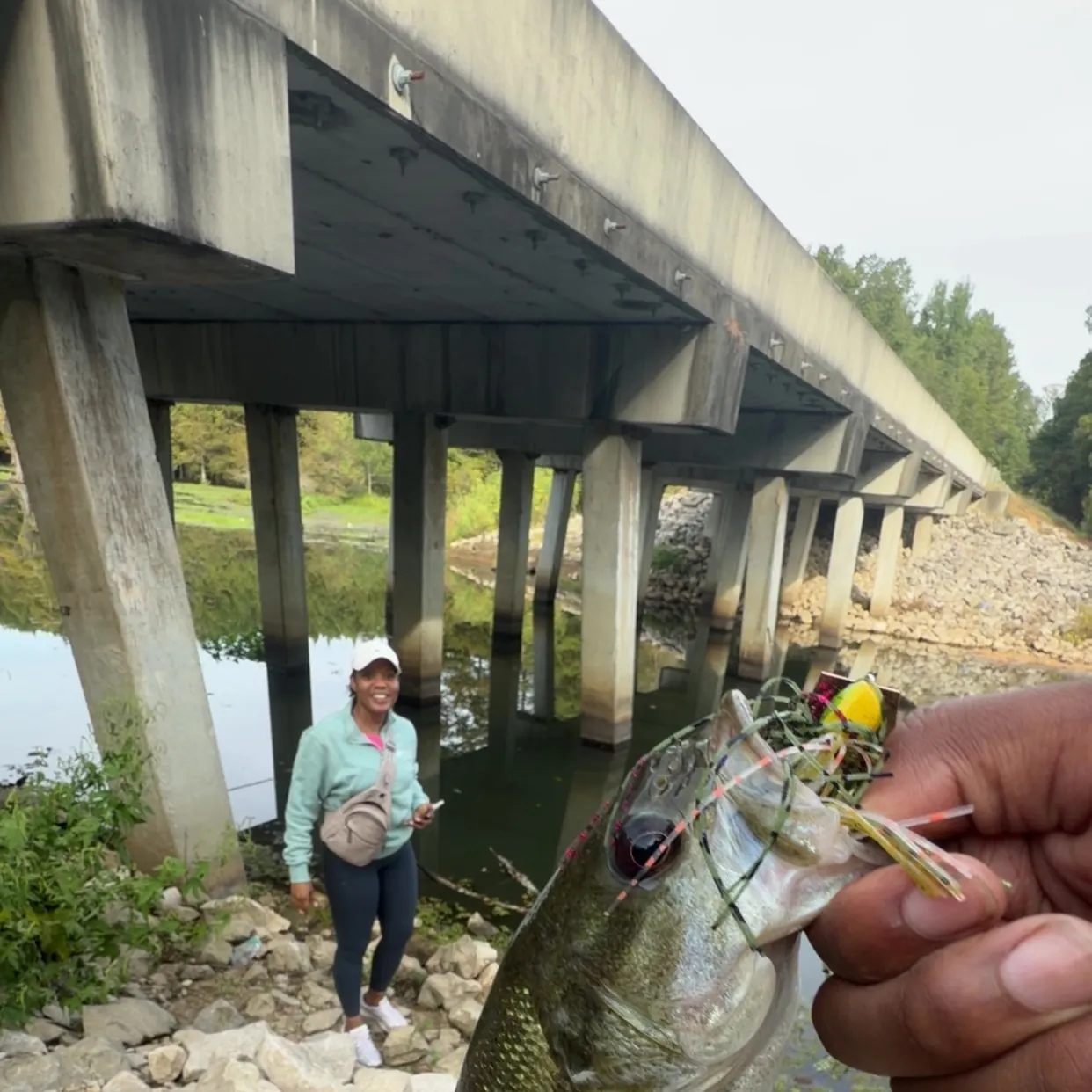 Spotted bass caught on Fishbrain