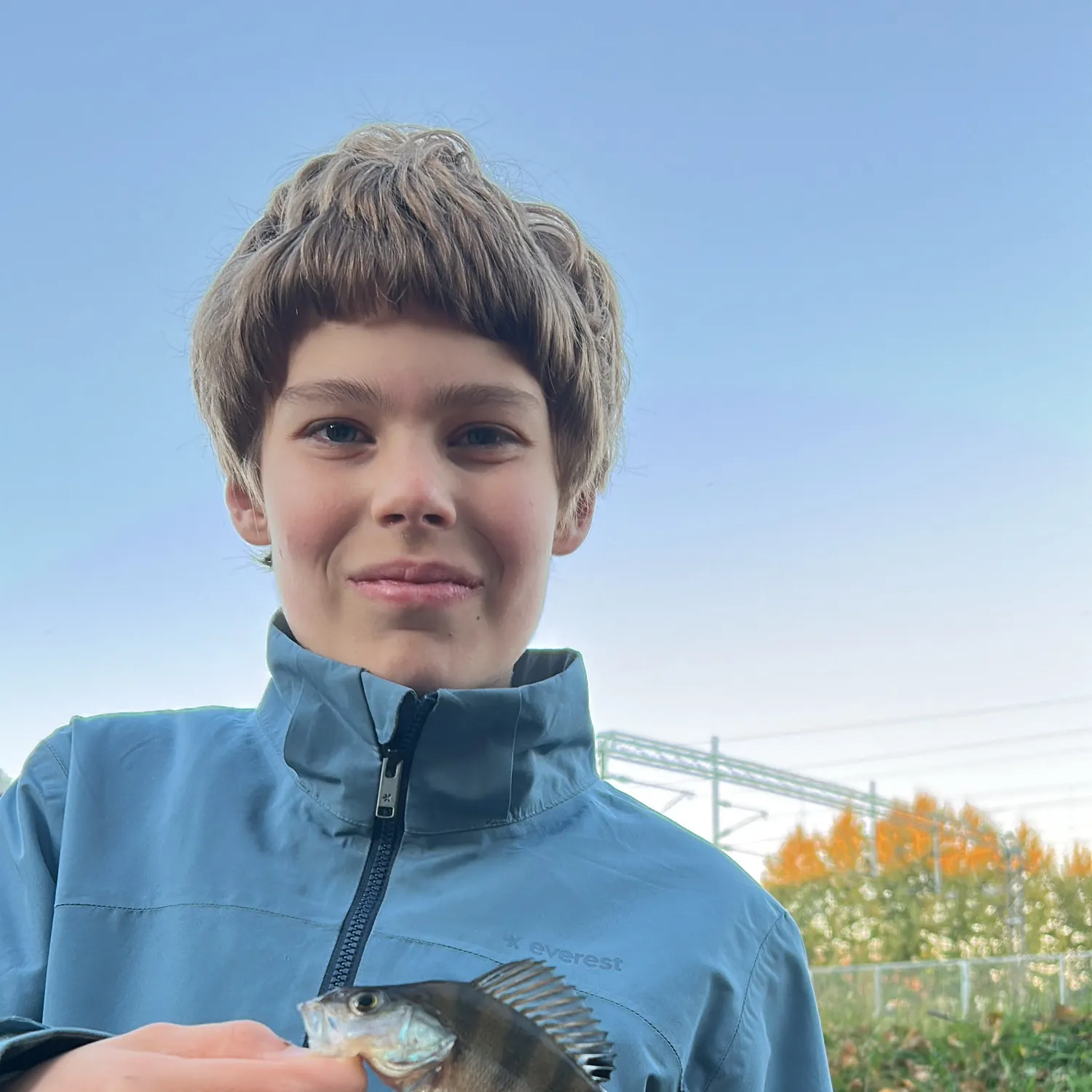 European perch caught on Fishbrain