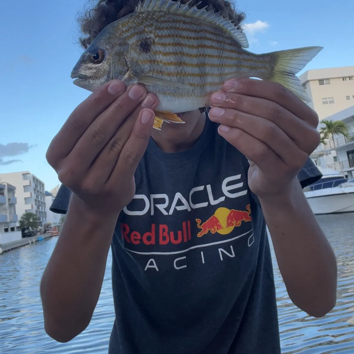 The most recent Western Atlantic seabream catches on Fishbrain