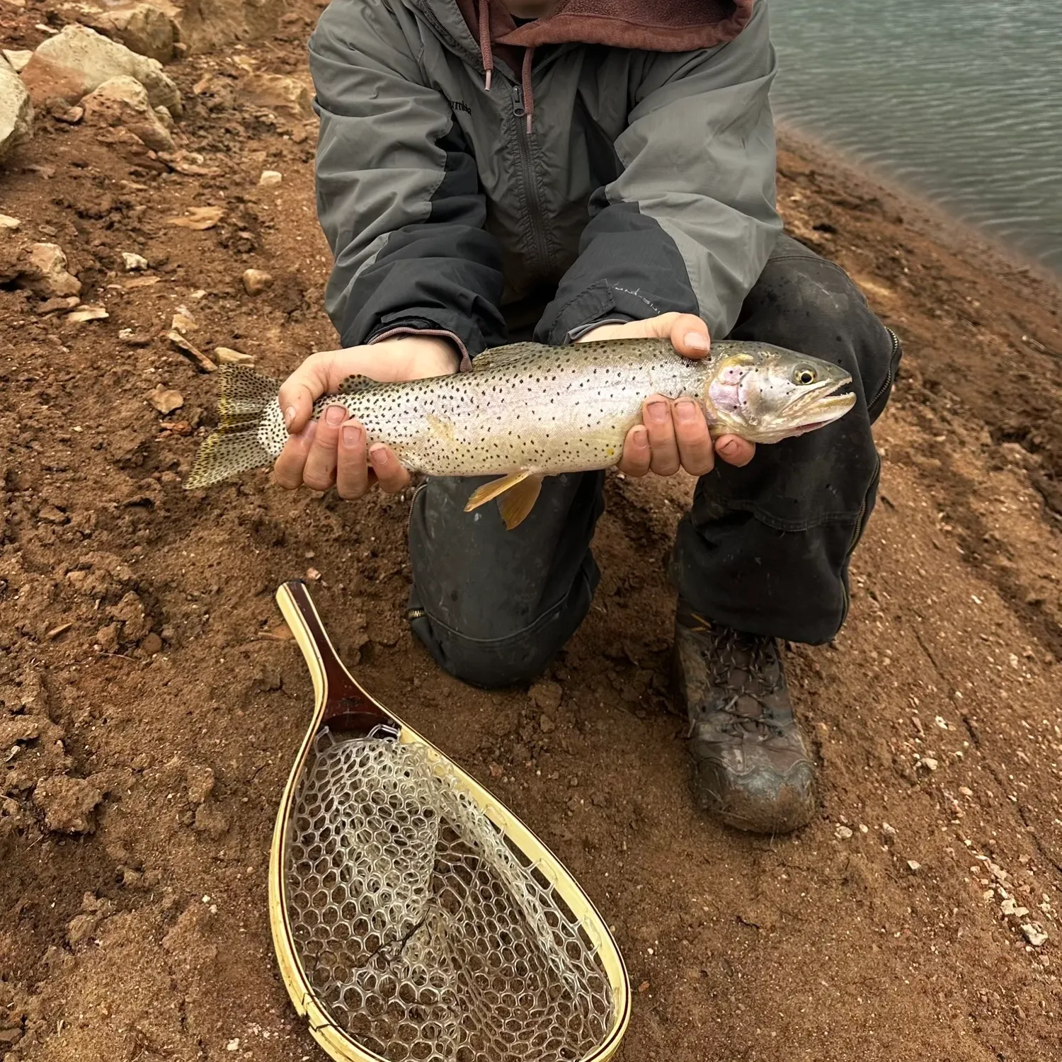 The most recent Bonneville cutthroat trout catches on Fishbrain