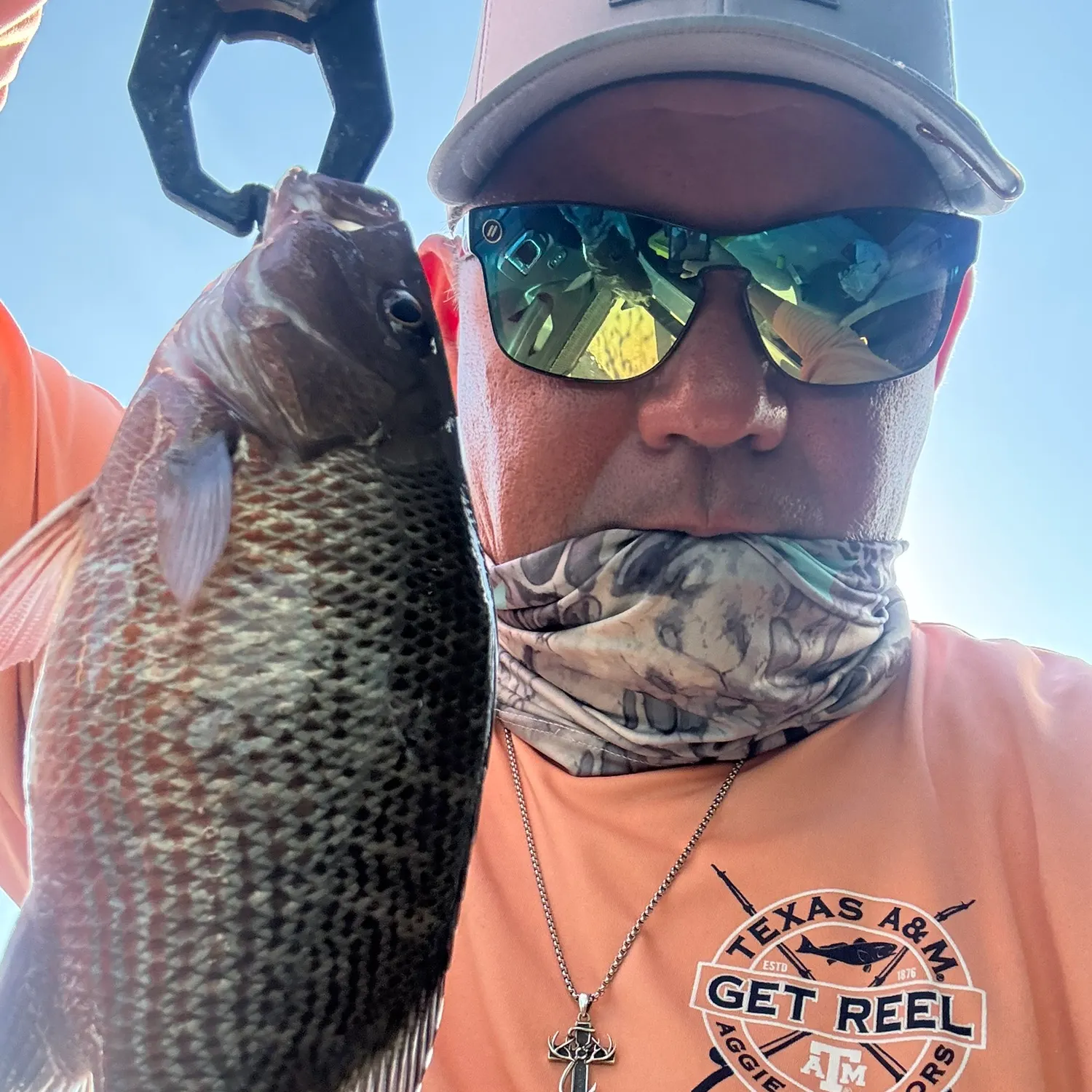 Mangrove snapper caught on Fishbrain