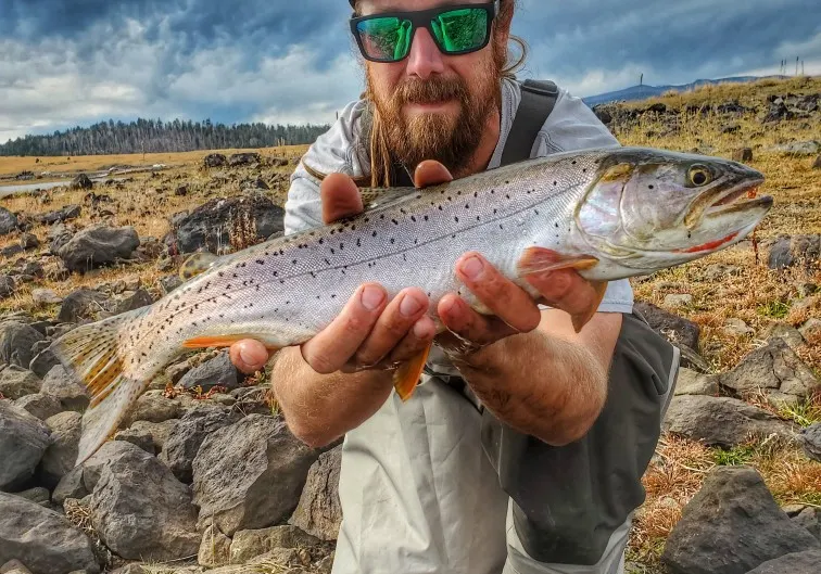 Bonneville cutthroat trout