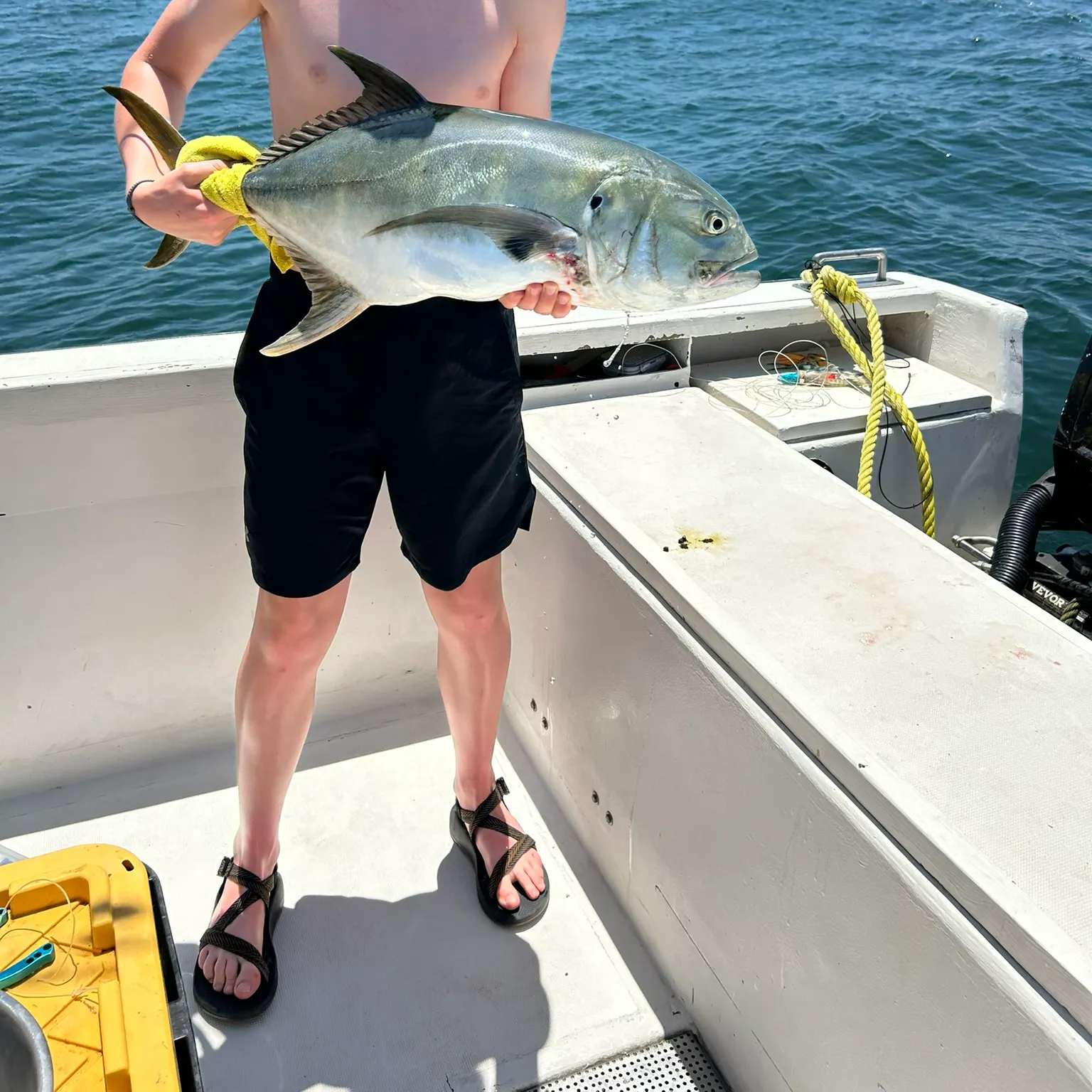 The most recent Pacific crevalle jack catches on Fishbrain