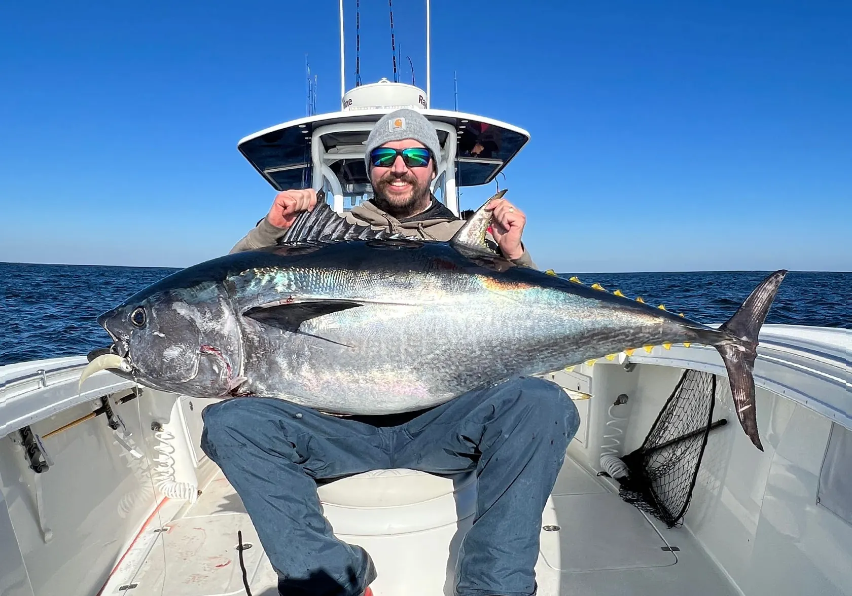 Atlantic bluefin tuna