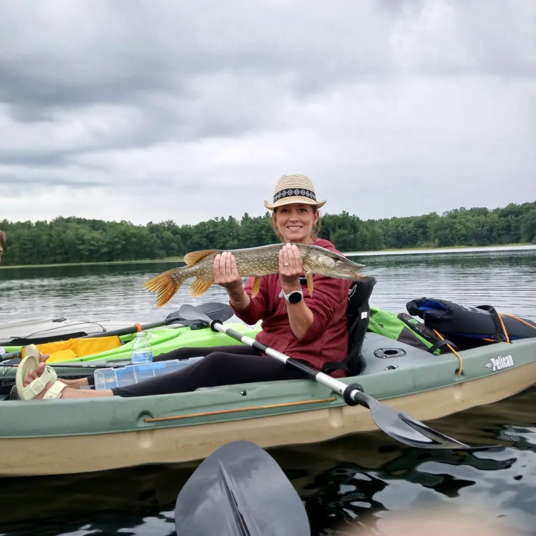 The most recent Northern pike catches on Fishbrain