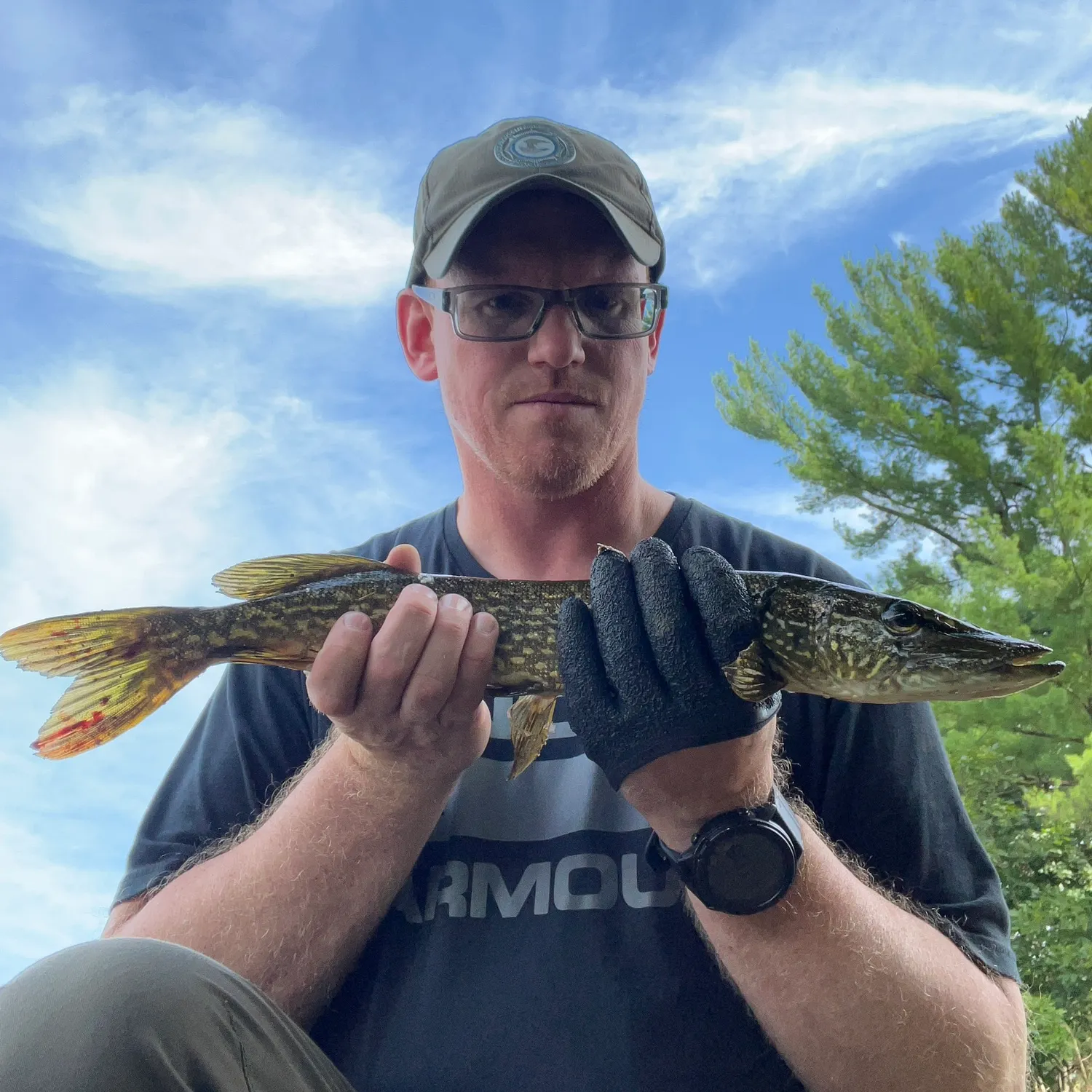 Northern pike caught on Fishbrain