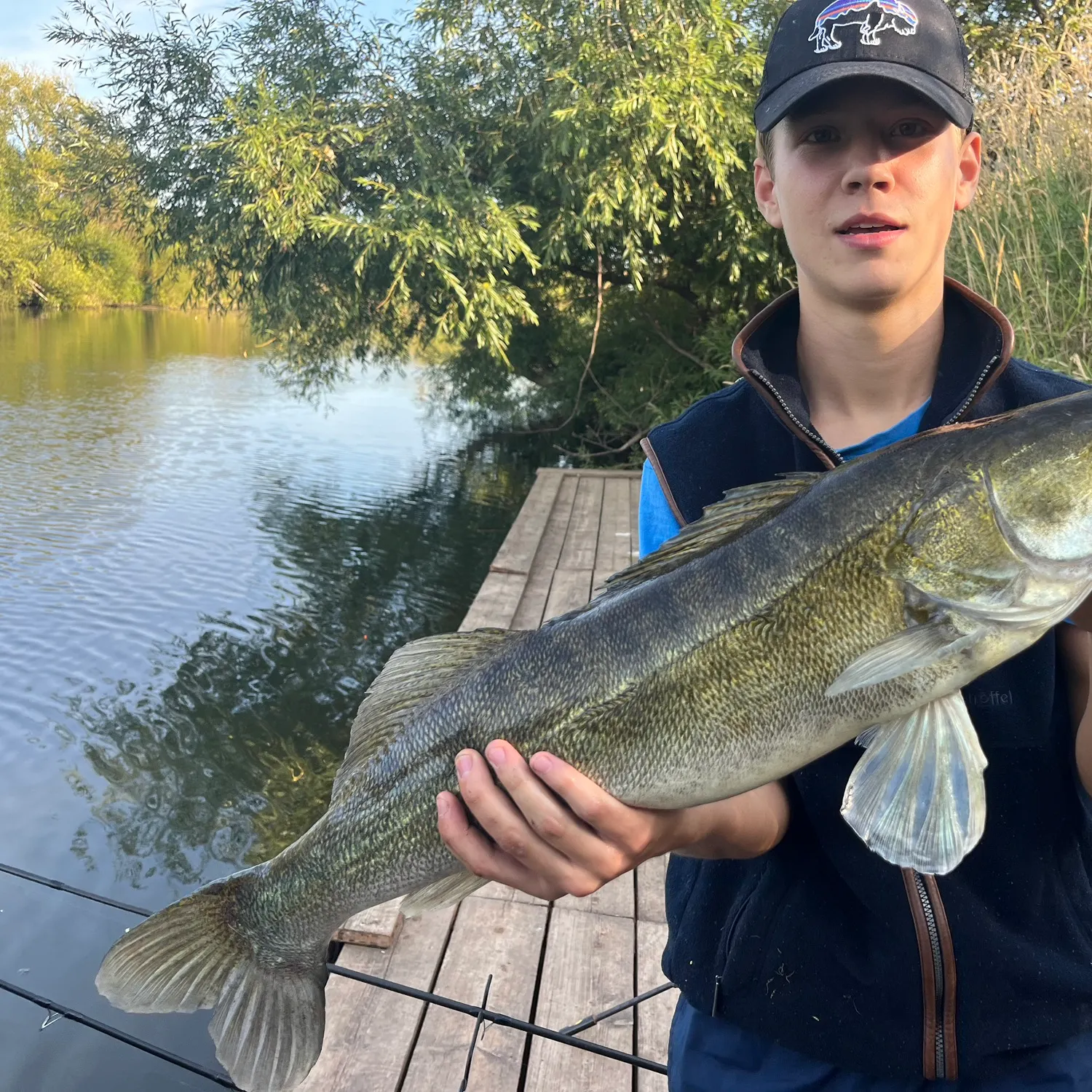 The most recent Zander catches on Fishbrain
