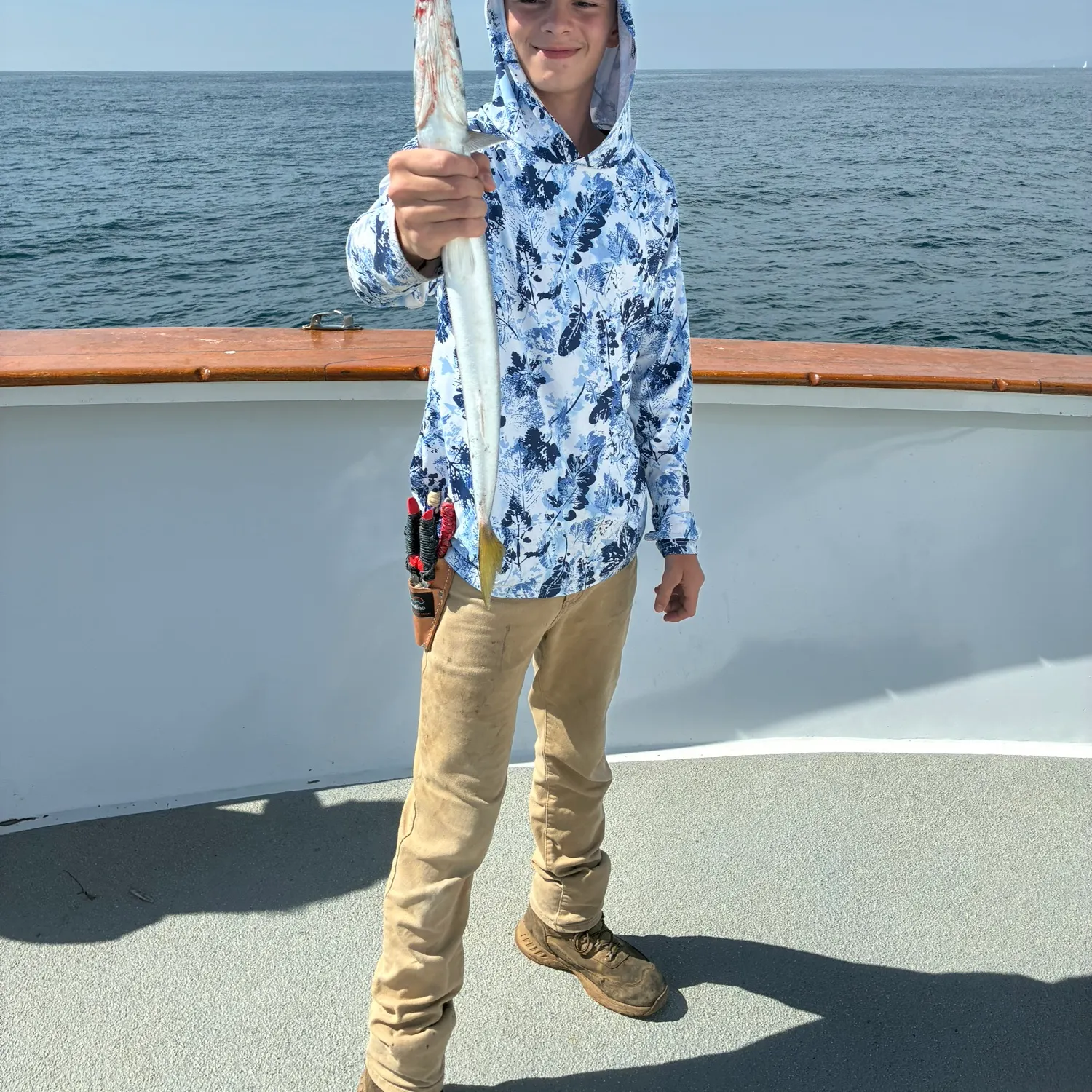 Pacific barracuda caught on Fishbrain