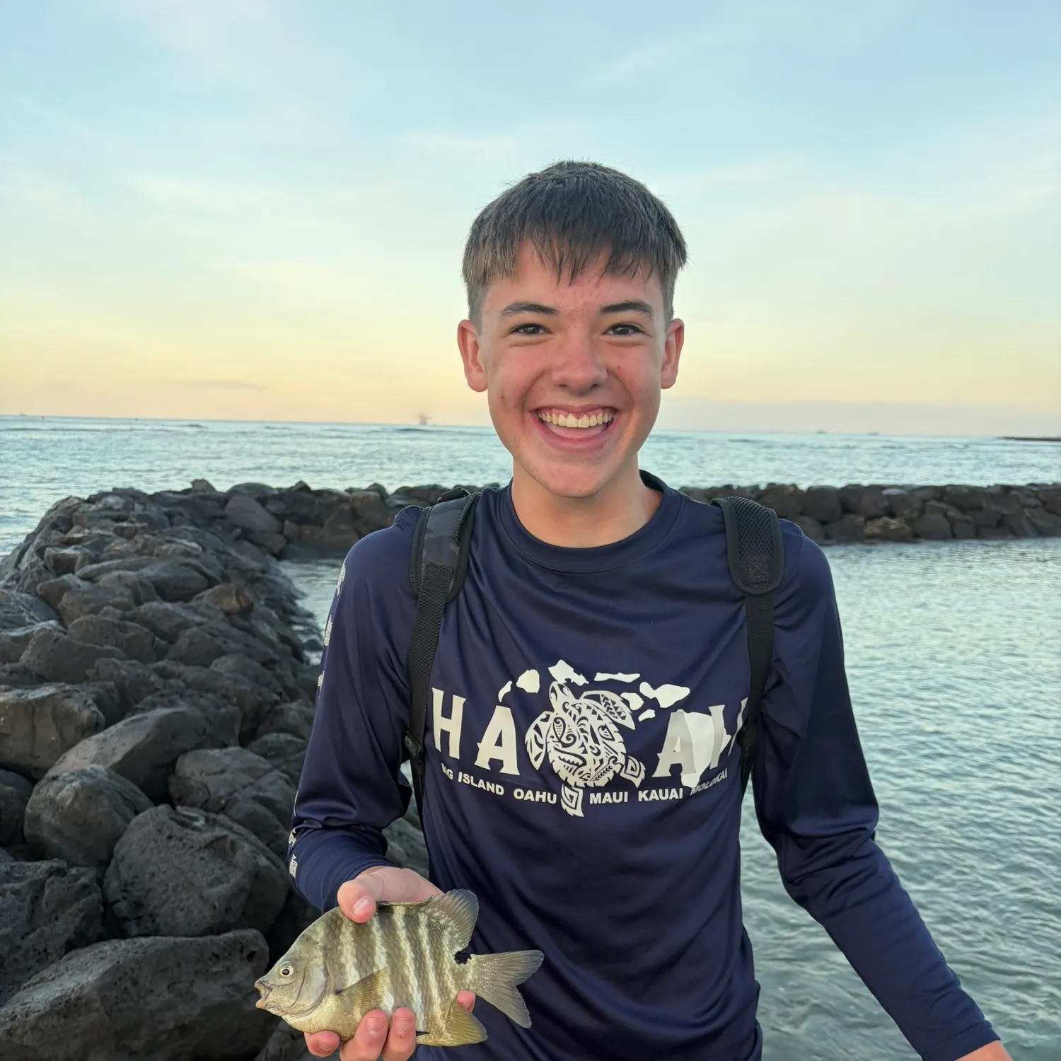 The most recent Hawaiian sergeant major catches on Fishbrain