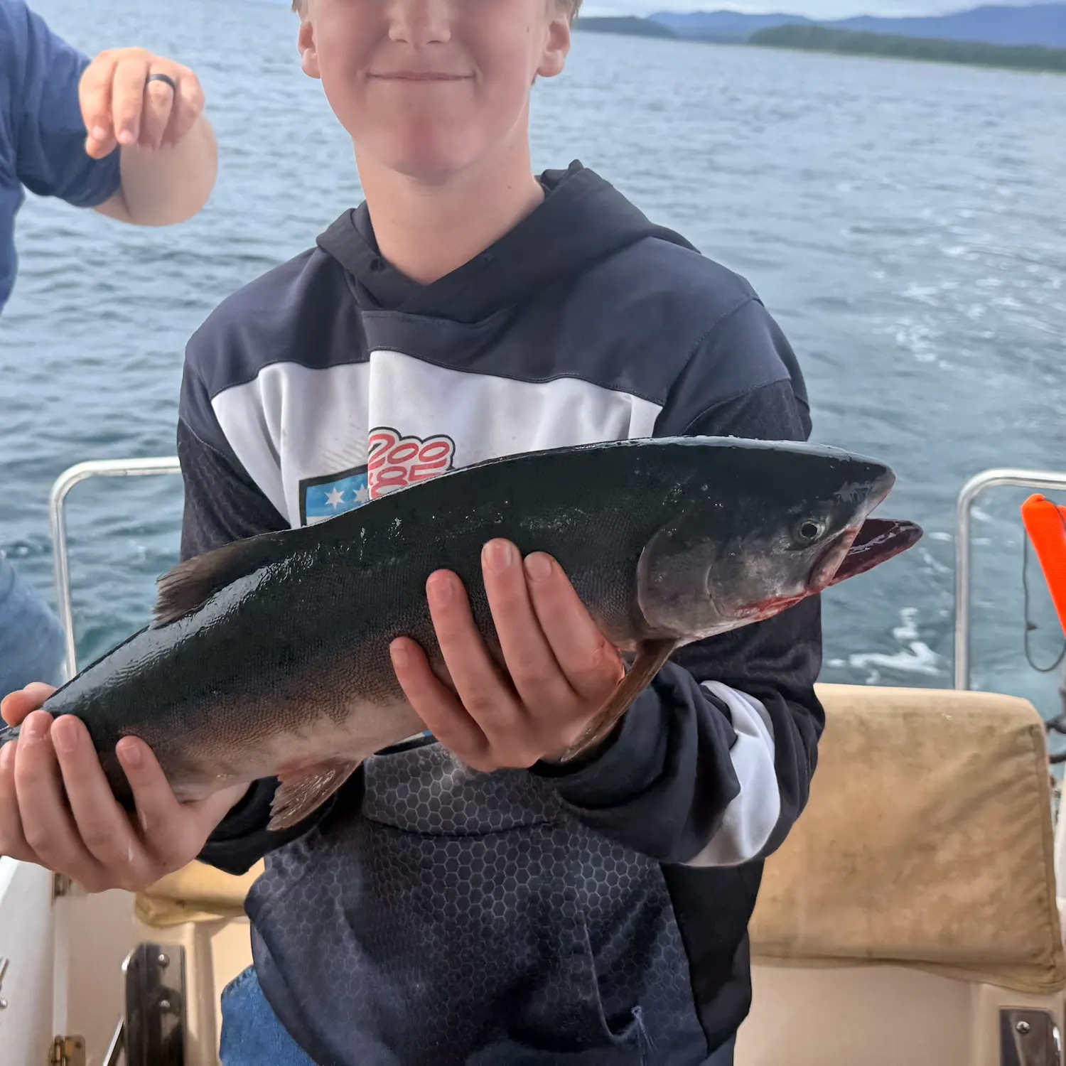 Pink salmon caught on Fishbrain