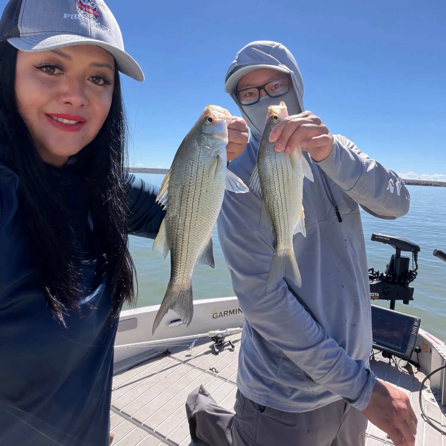 White bass caught on Fishbrain