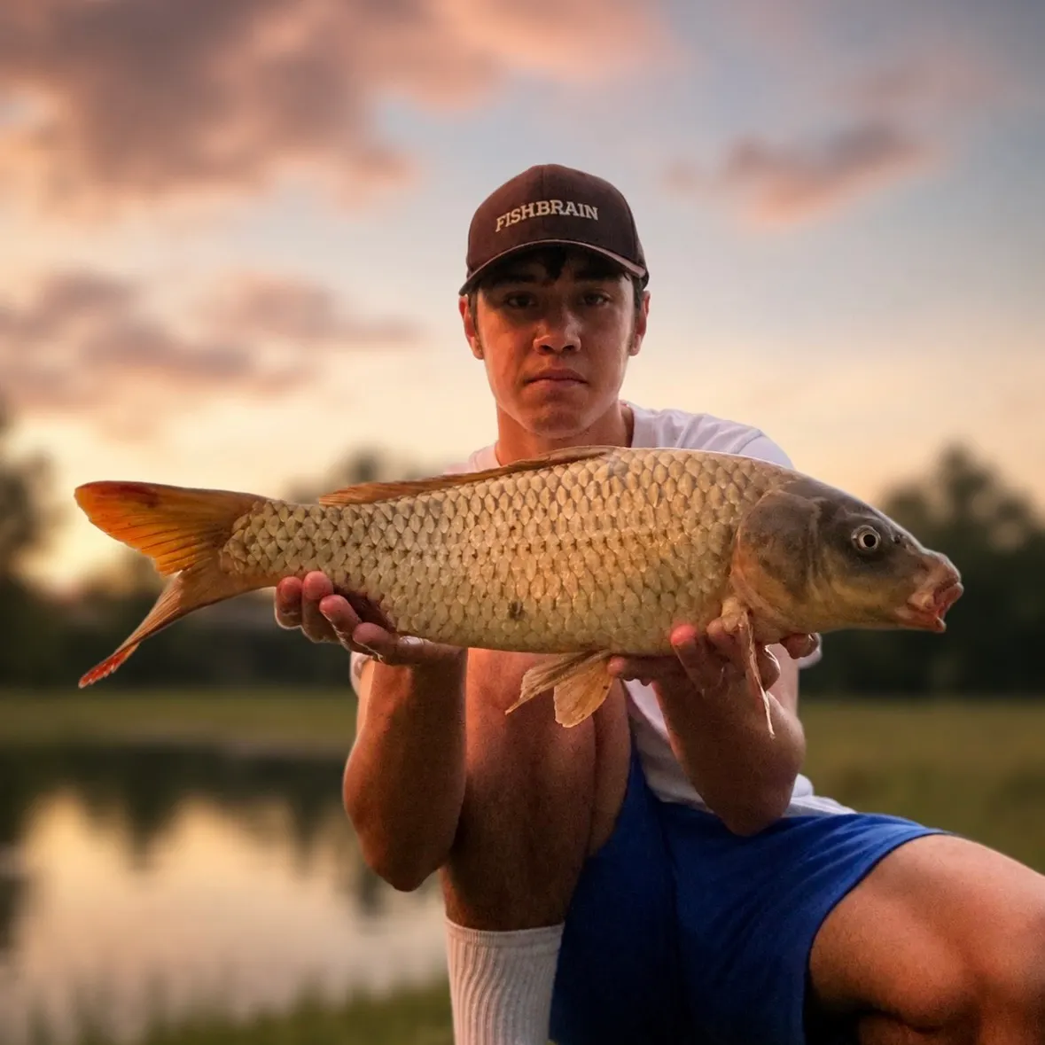 The most recent Ghost carp catches on Fishbrain