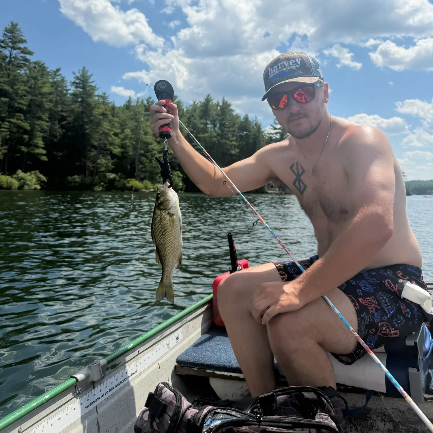 recently logged catches