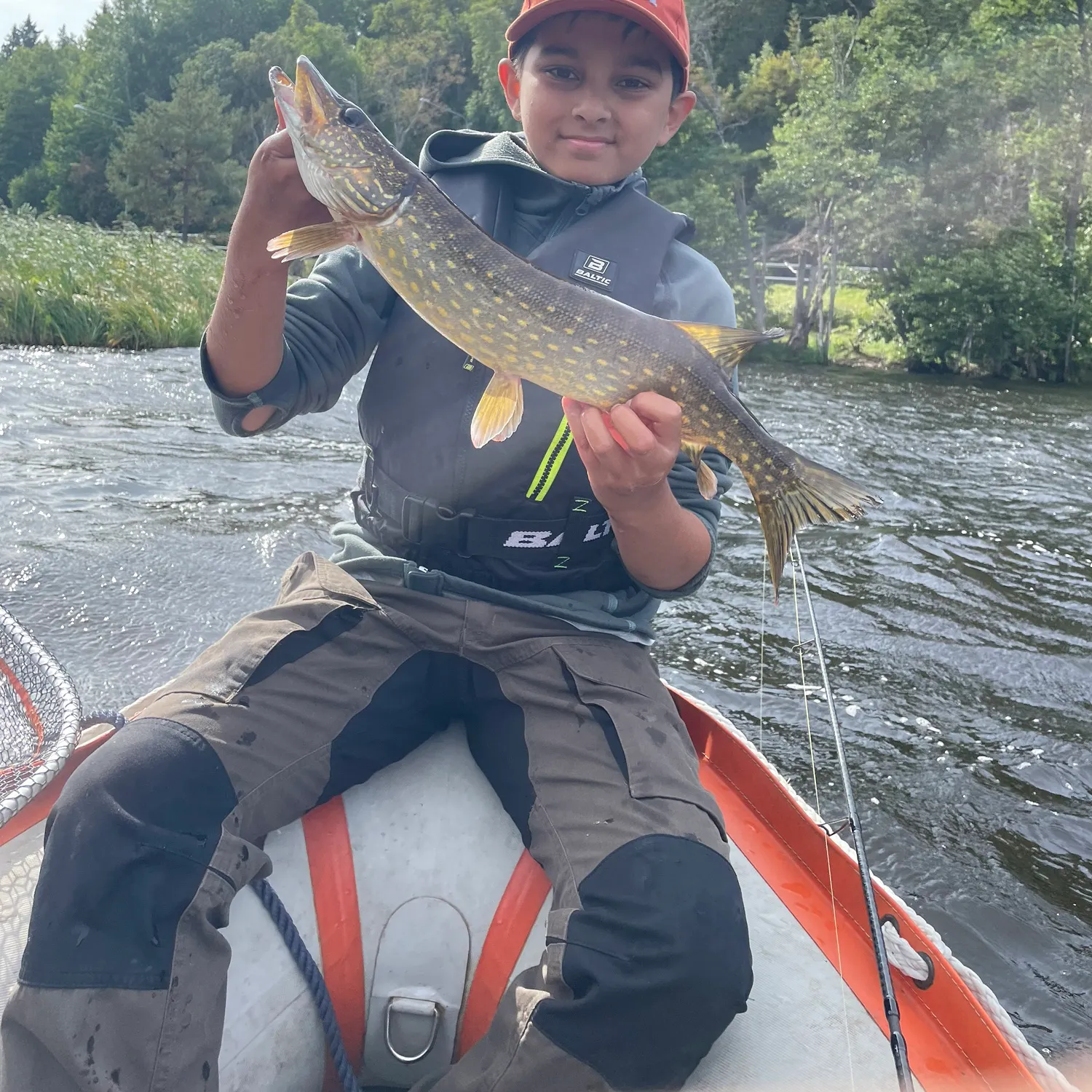 Northern pike caught on Fishbrain