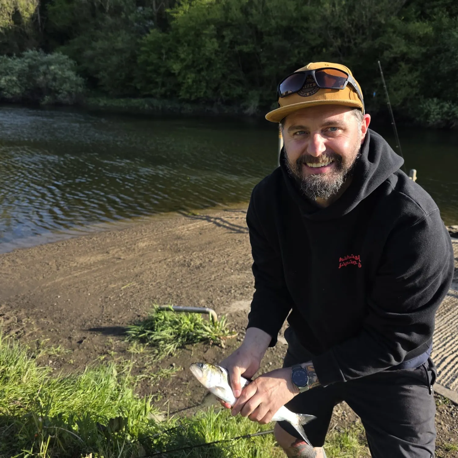 The most recent Twait shad catches on Fishbrain