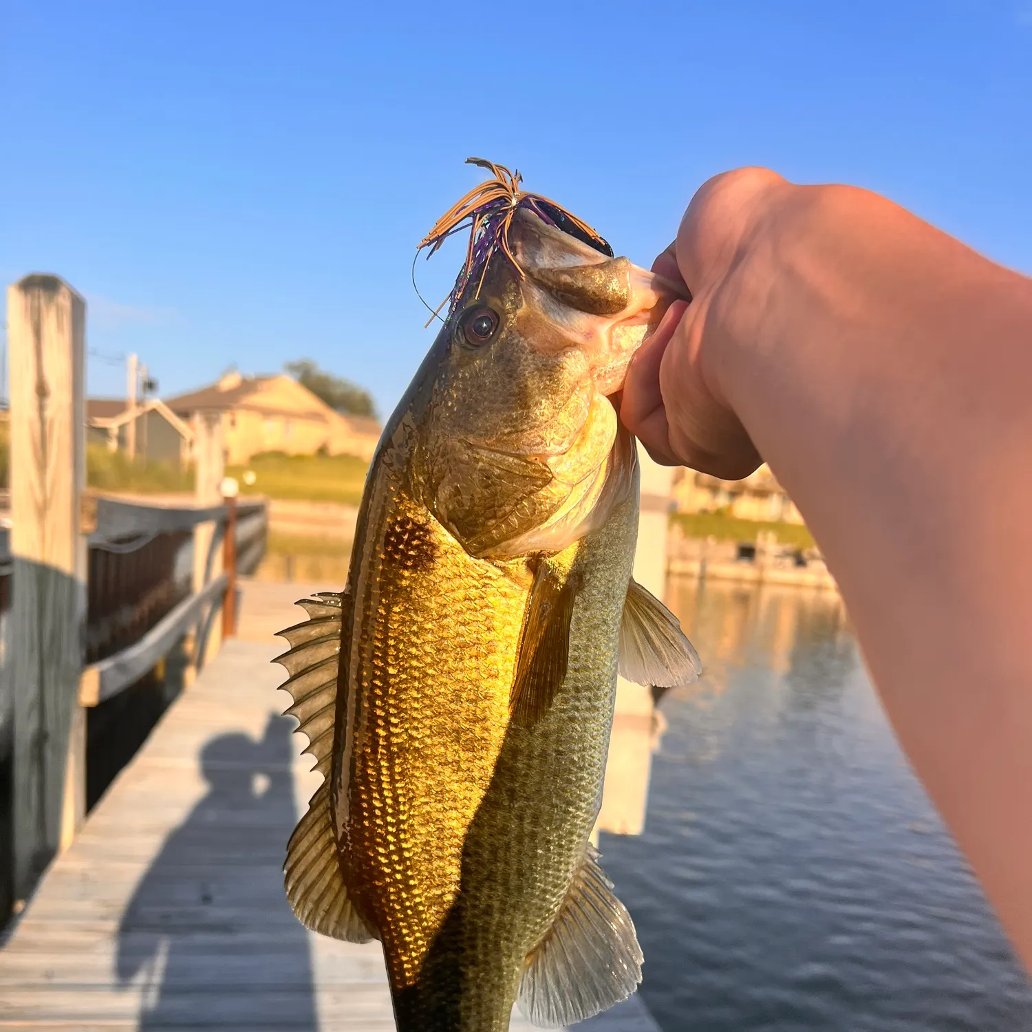 catch