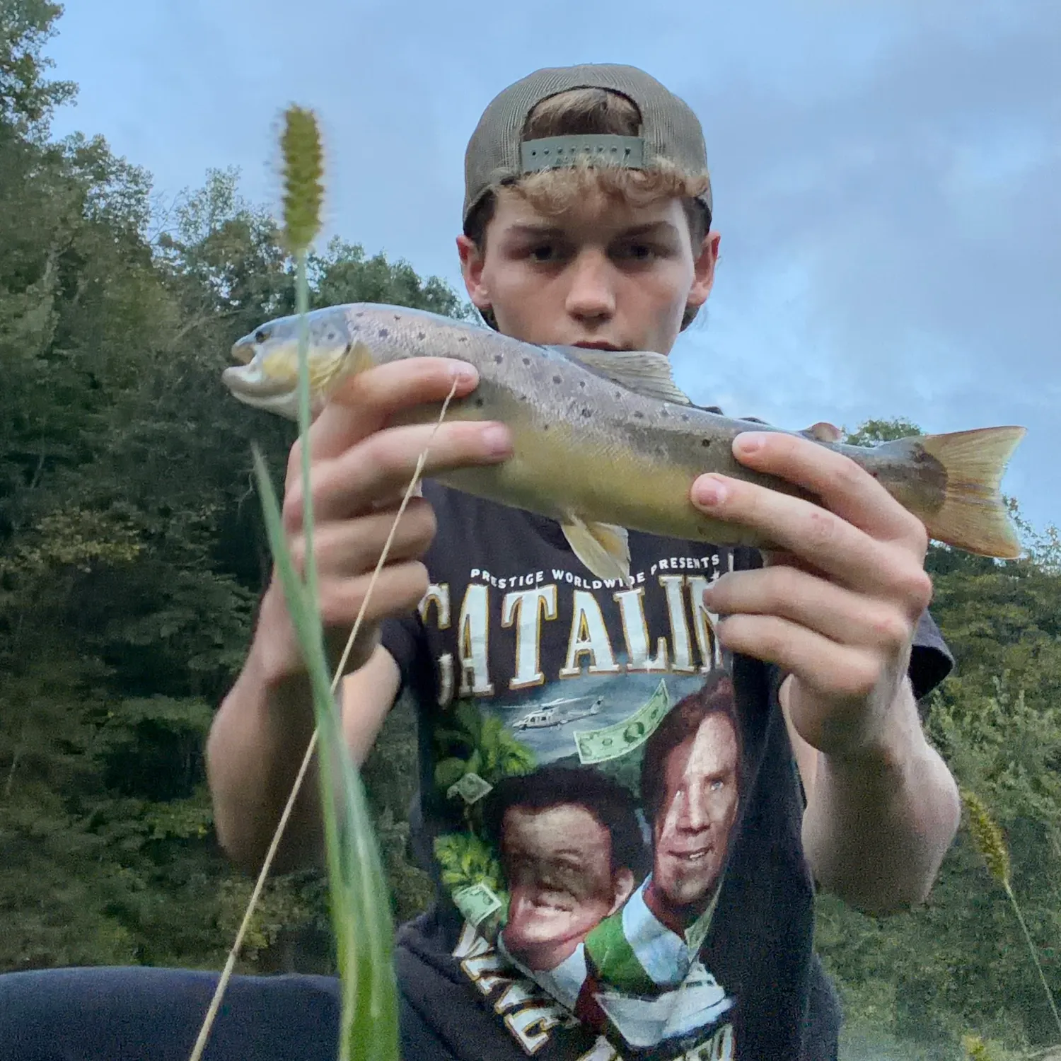 Brown trout caught on Fishbrain