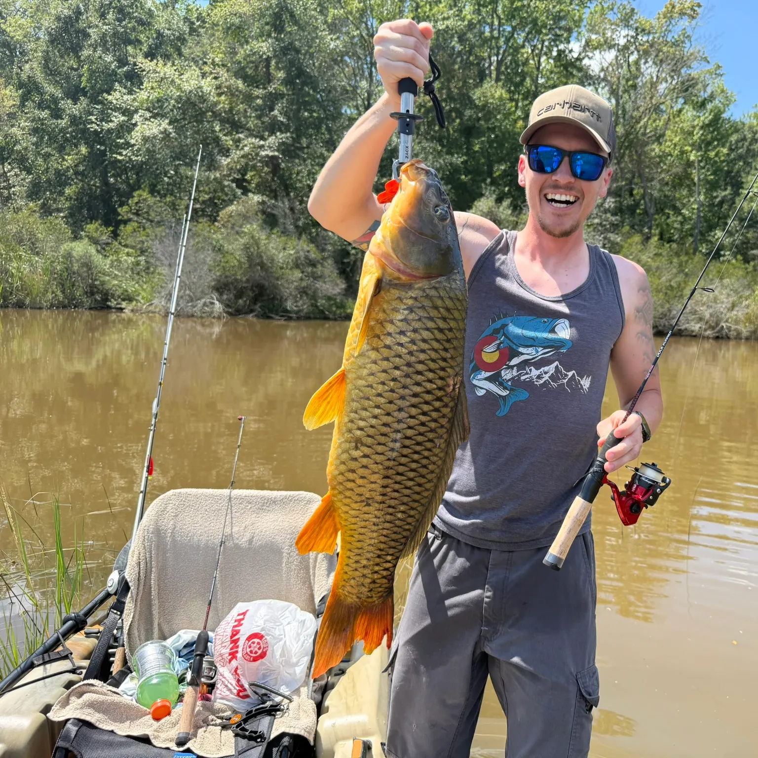Common carp caught on Fishbrain