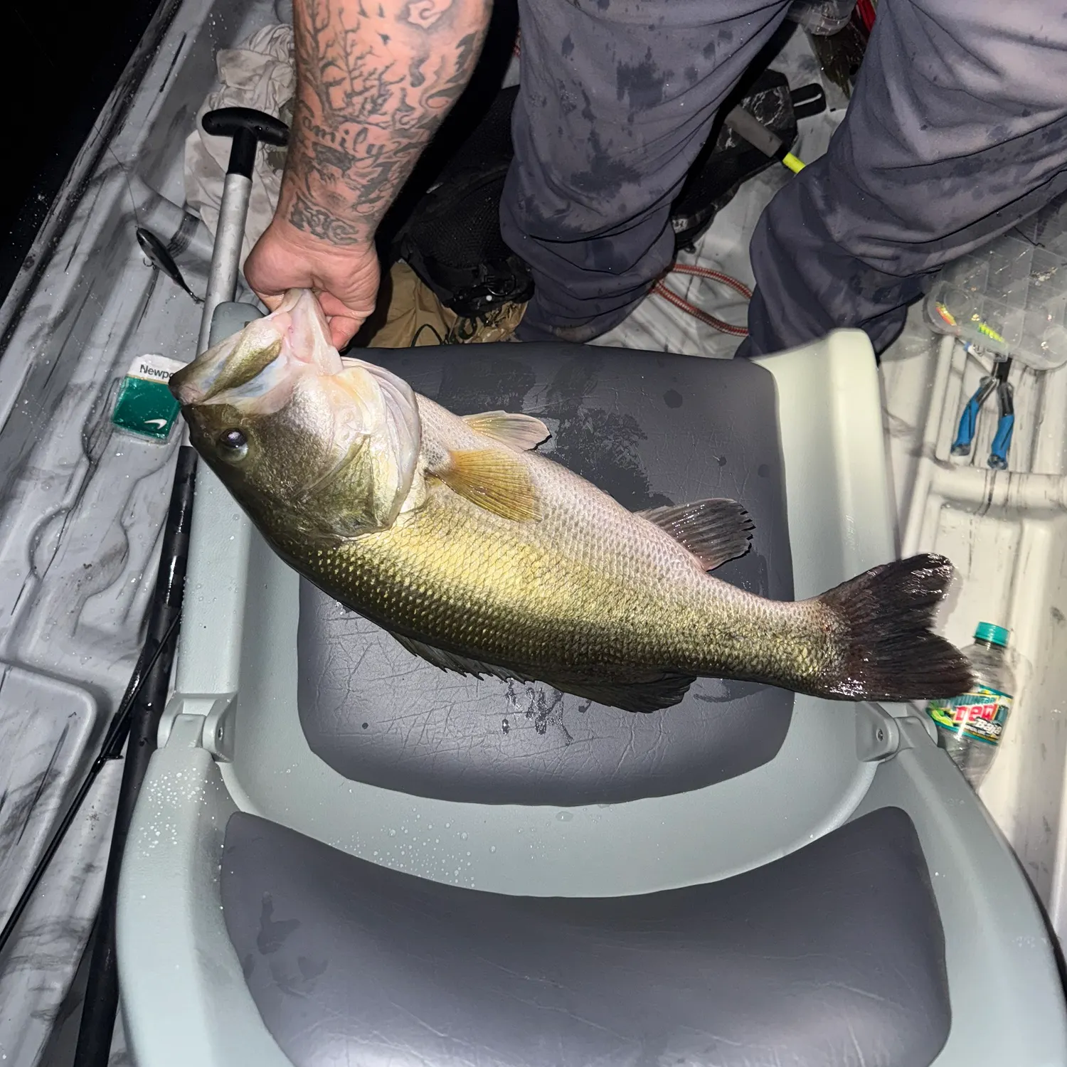 recently logged catches