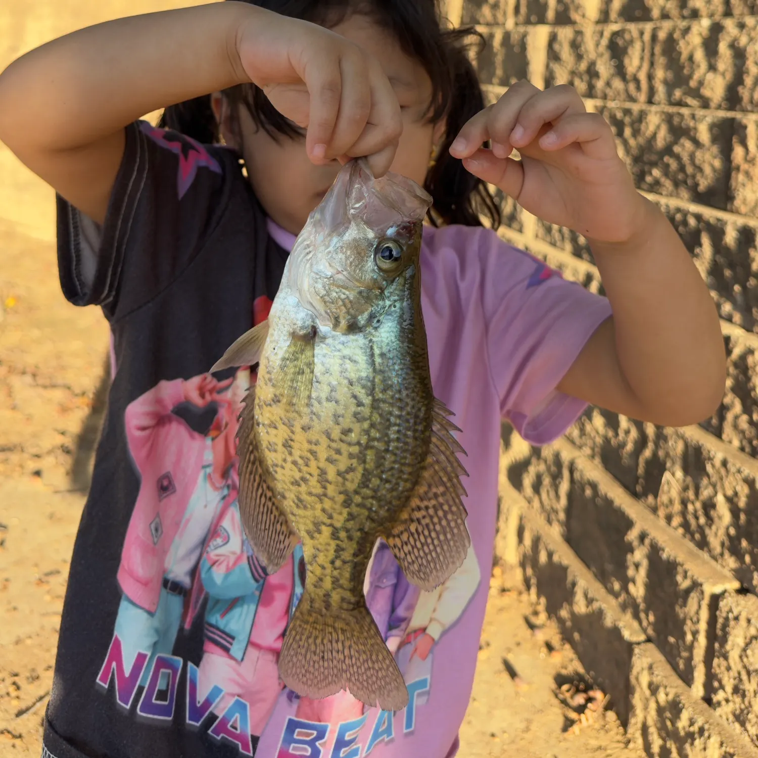 White crappie caught on Fishbrain