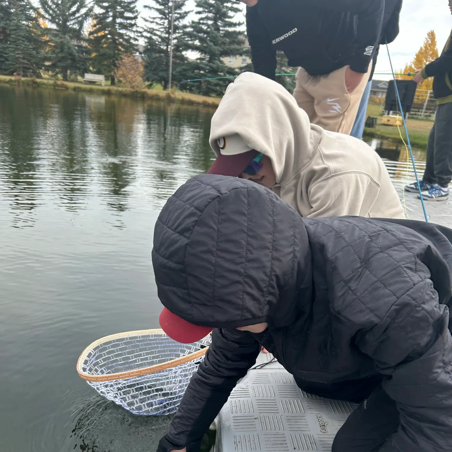 Rainbow trout caught on Fishbrain