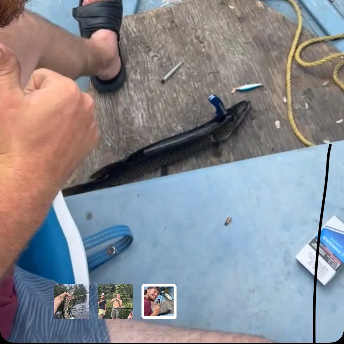 recently logged catches