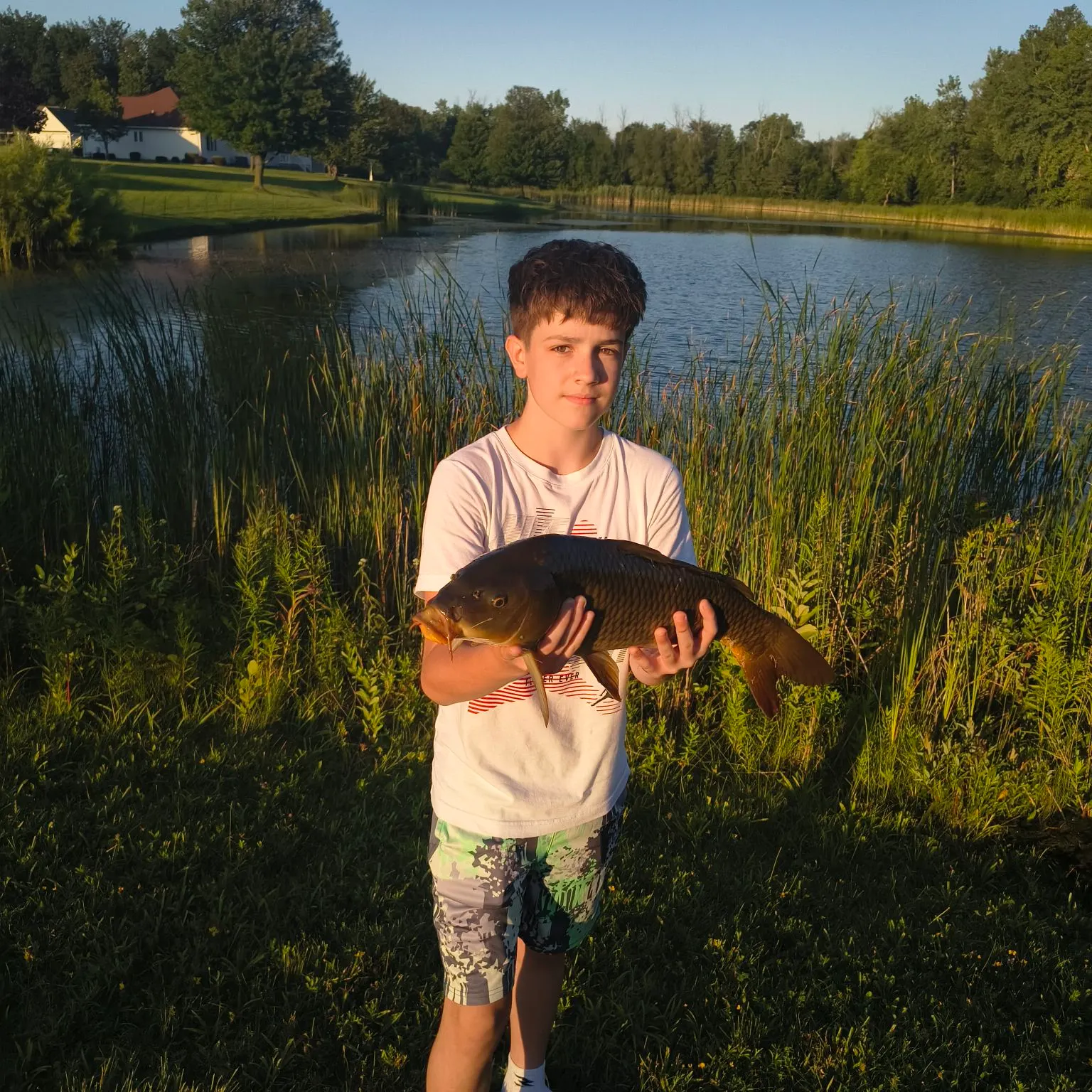 Common carp caught on Fishbrain