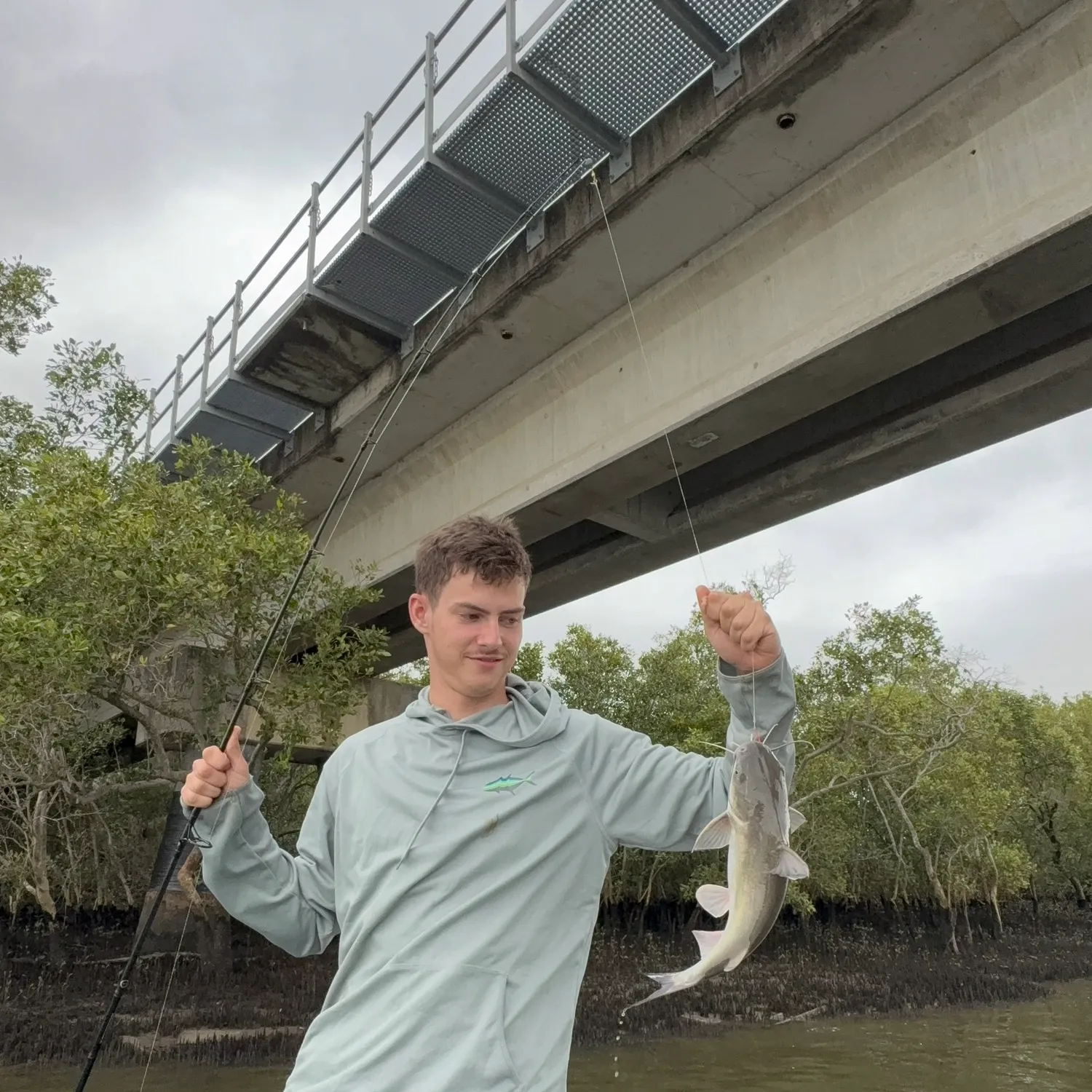 The most recent Blue salmon catfish catches on Fishbrain