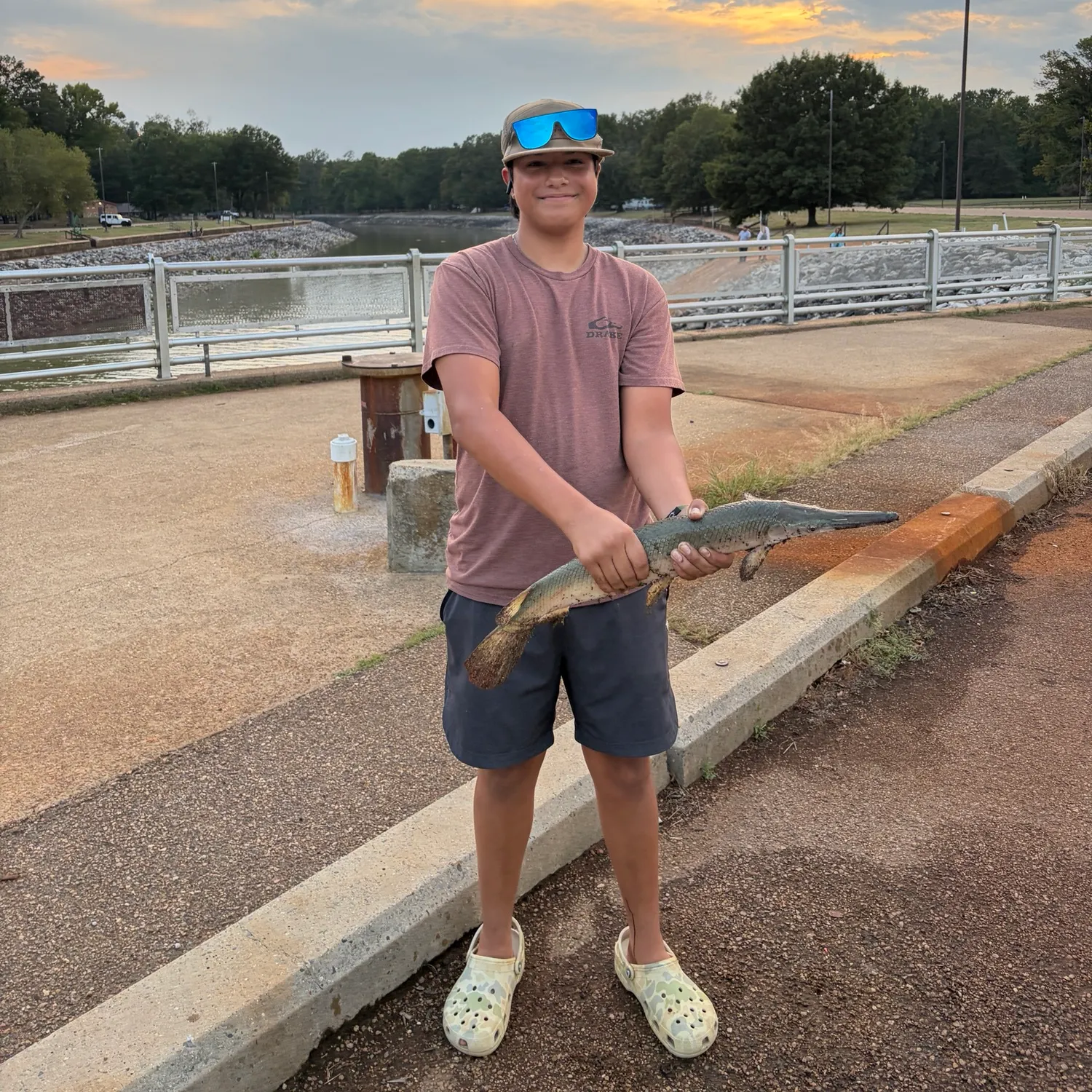 Shortnose gar caught on Fishbrain