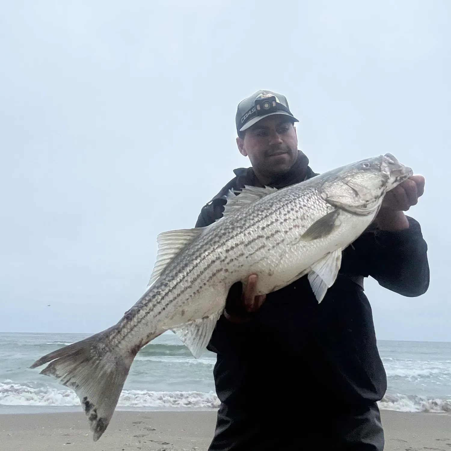 Striped bass caught on Fishbrain