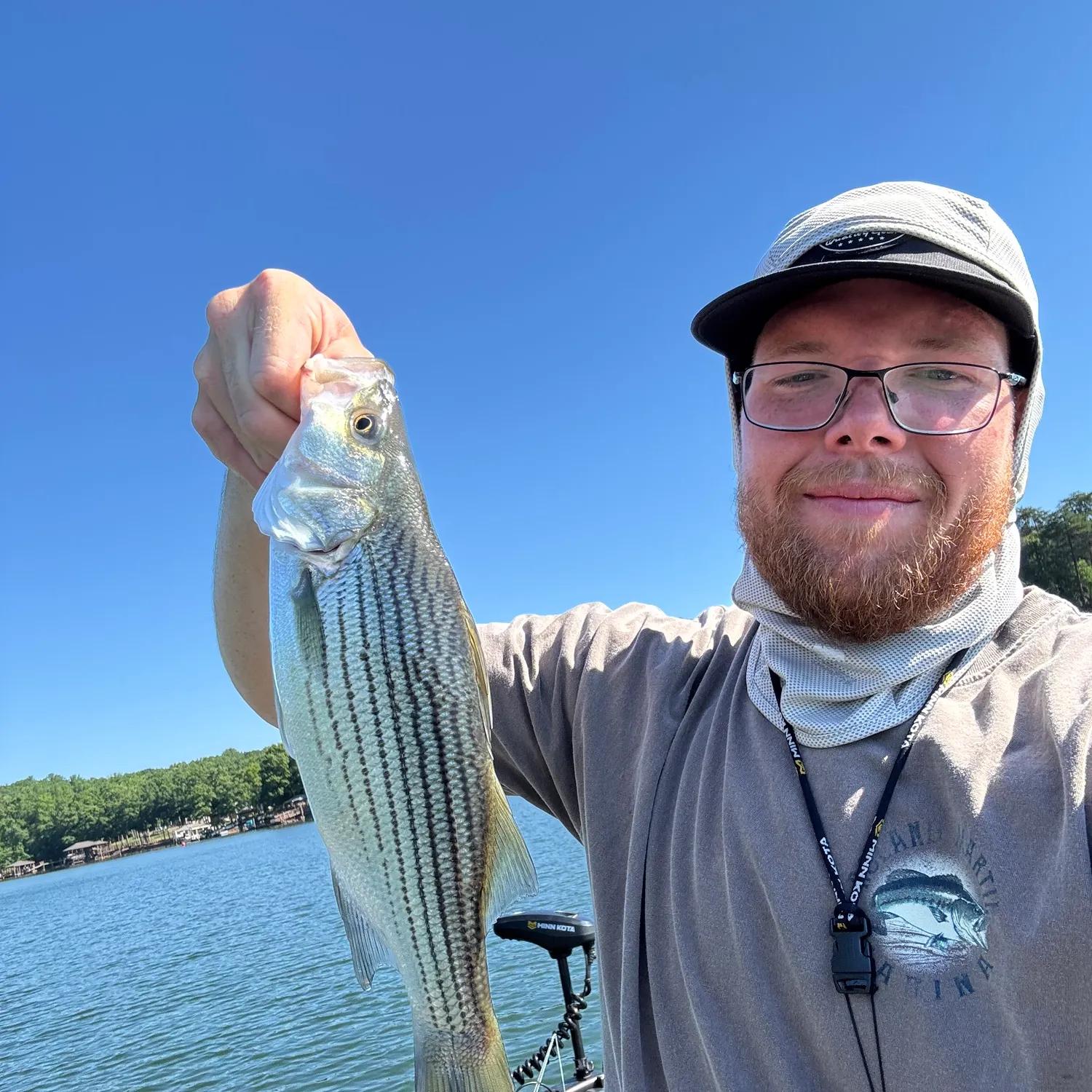 The most recent Striped bass catches on Fishbrain