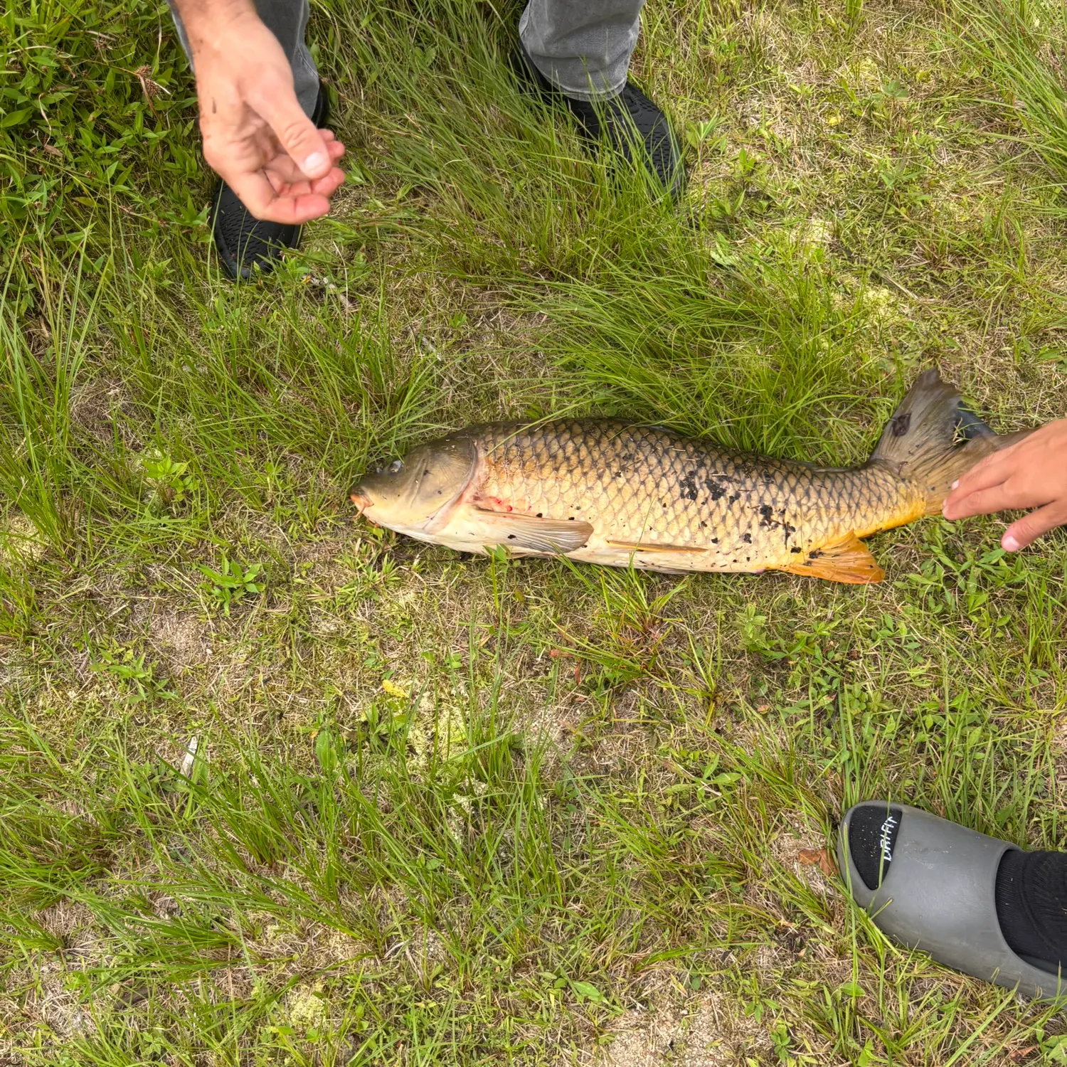 catch
