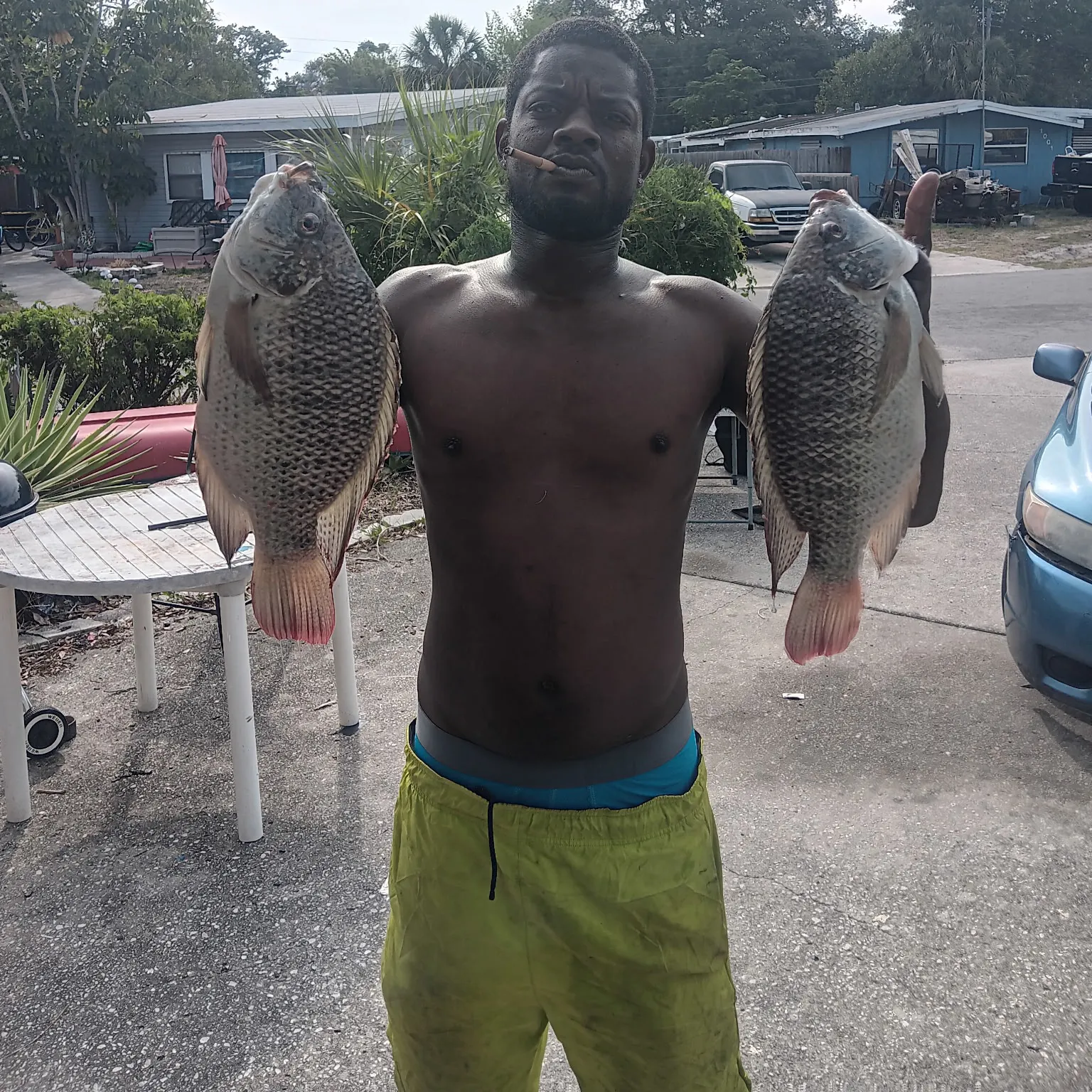 recently logged catches