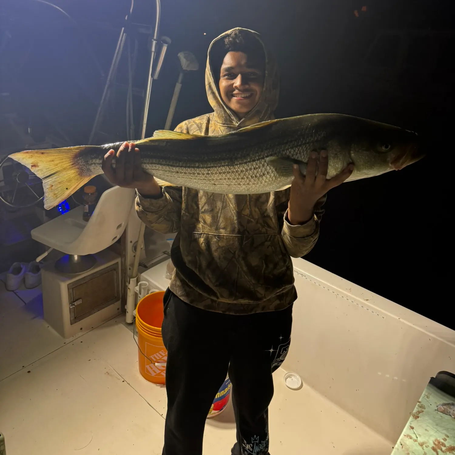 Striped bass caught on Fishbrain