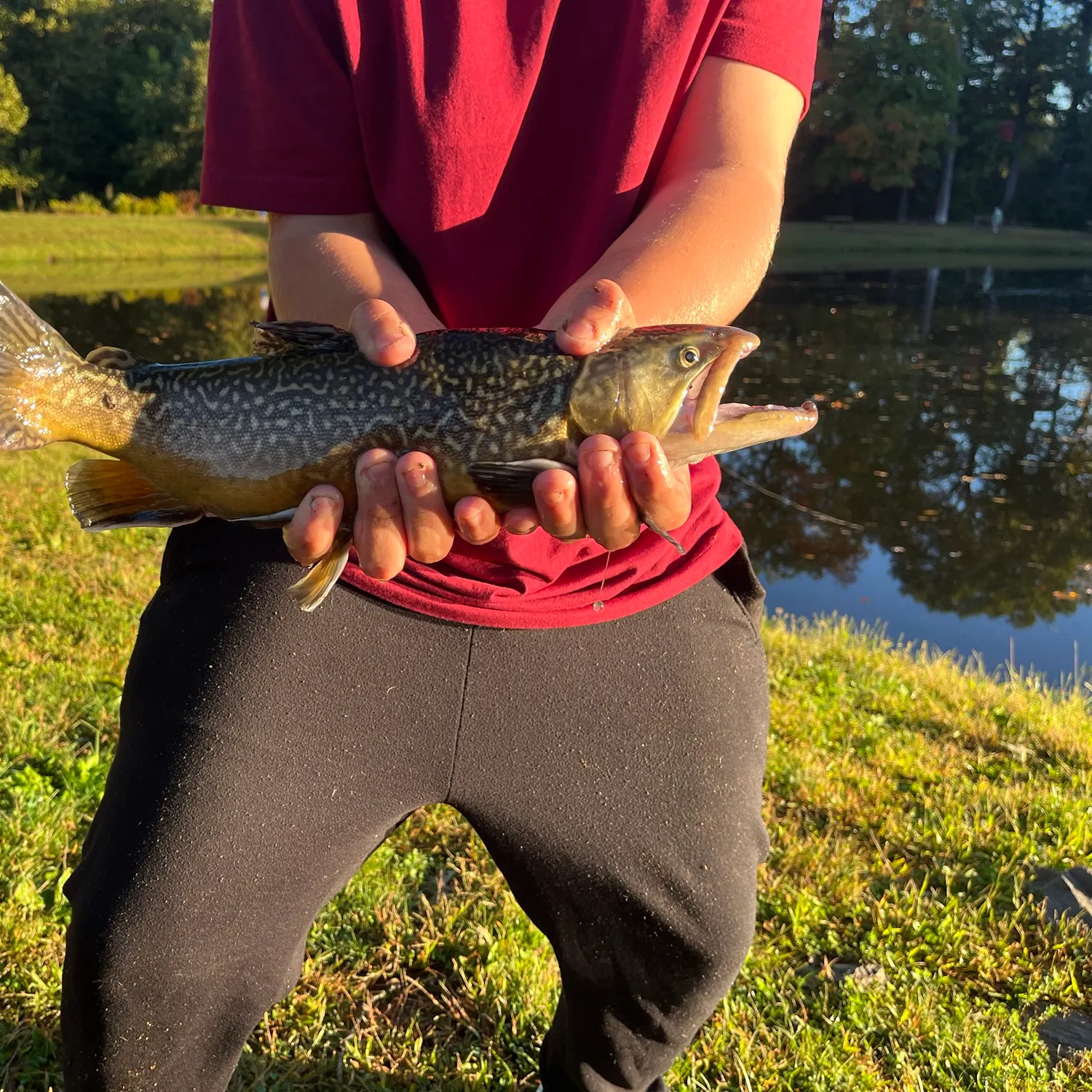 catch