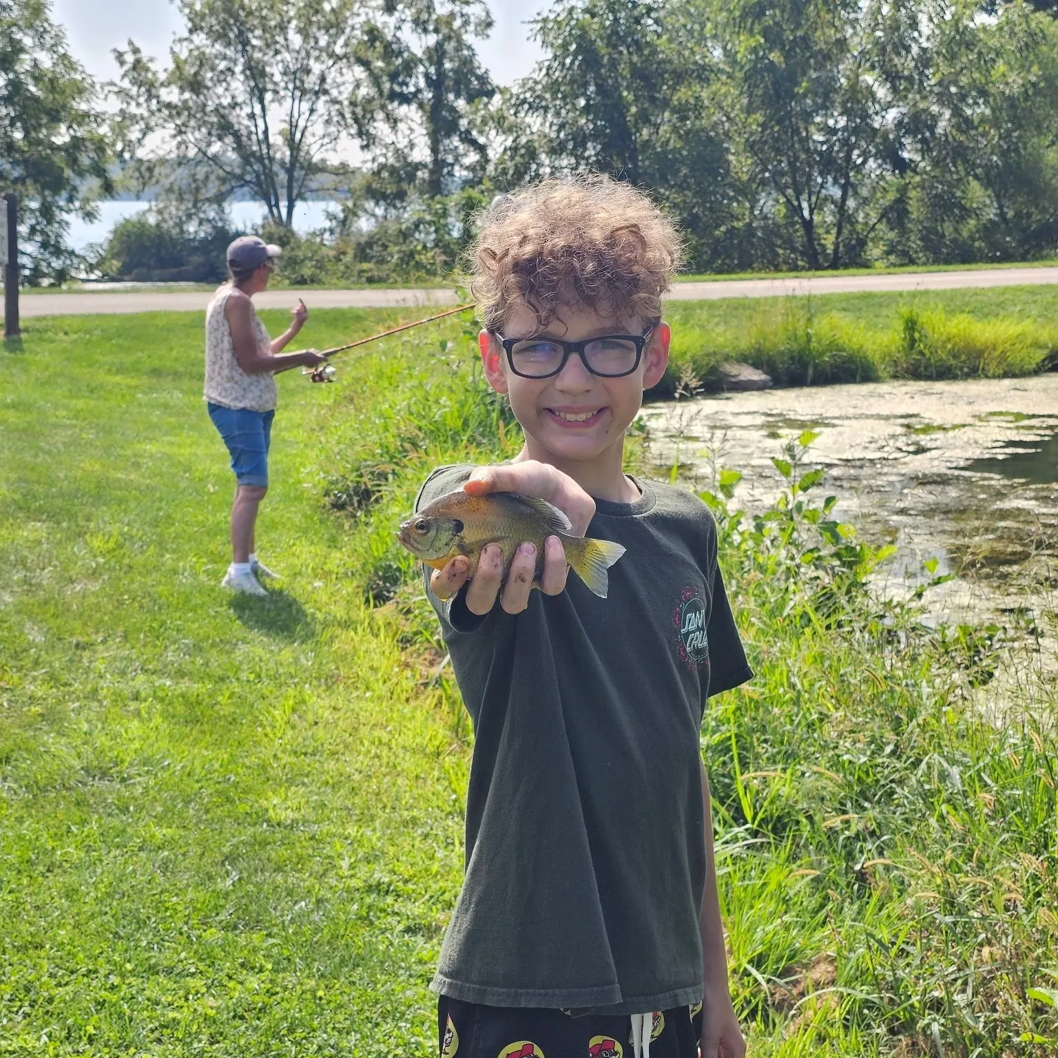 Bluegill caught on Fishbrain