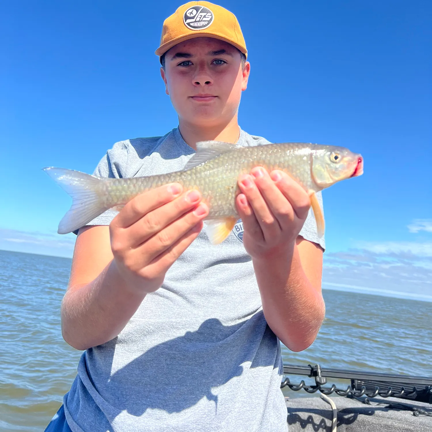 Silver redhorse caught on Fishbrain